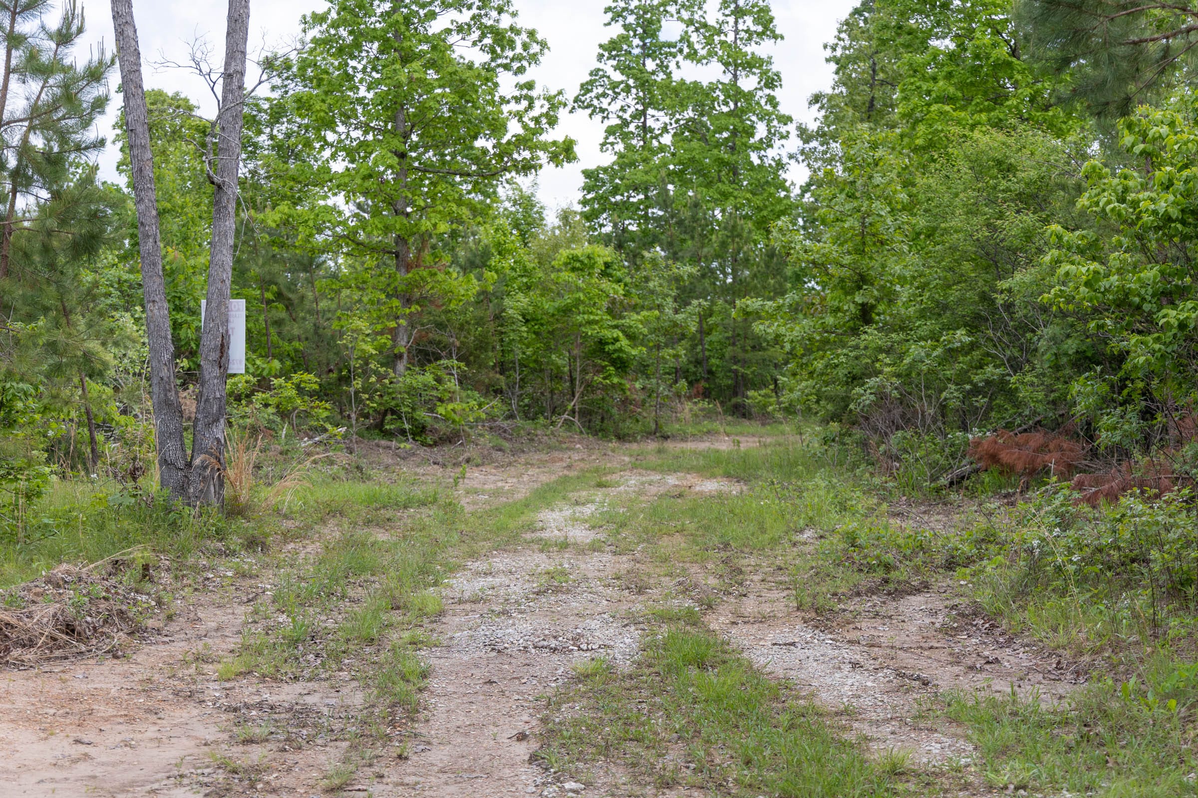 Sleepy Hollow Phase II Tract 74 photo 2