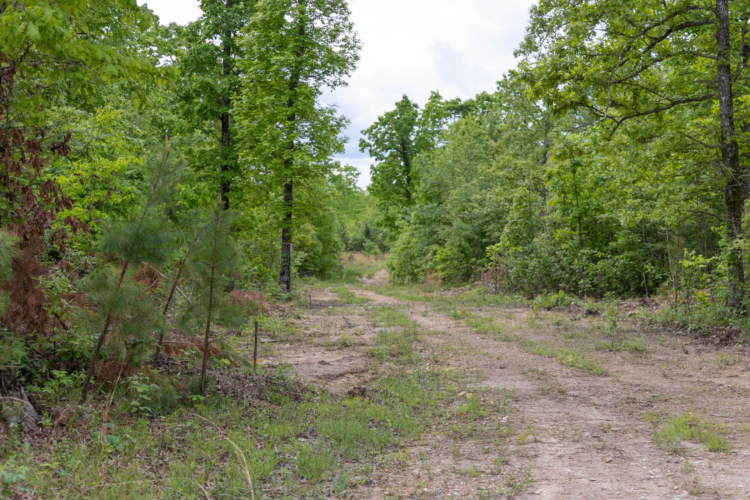 Sleepy Hollow Phase II Tract 74 photo 1