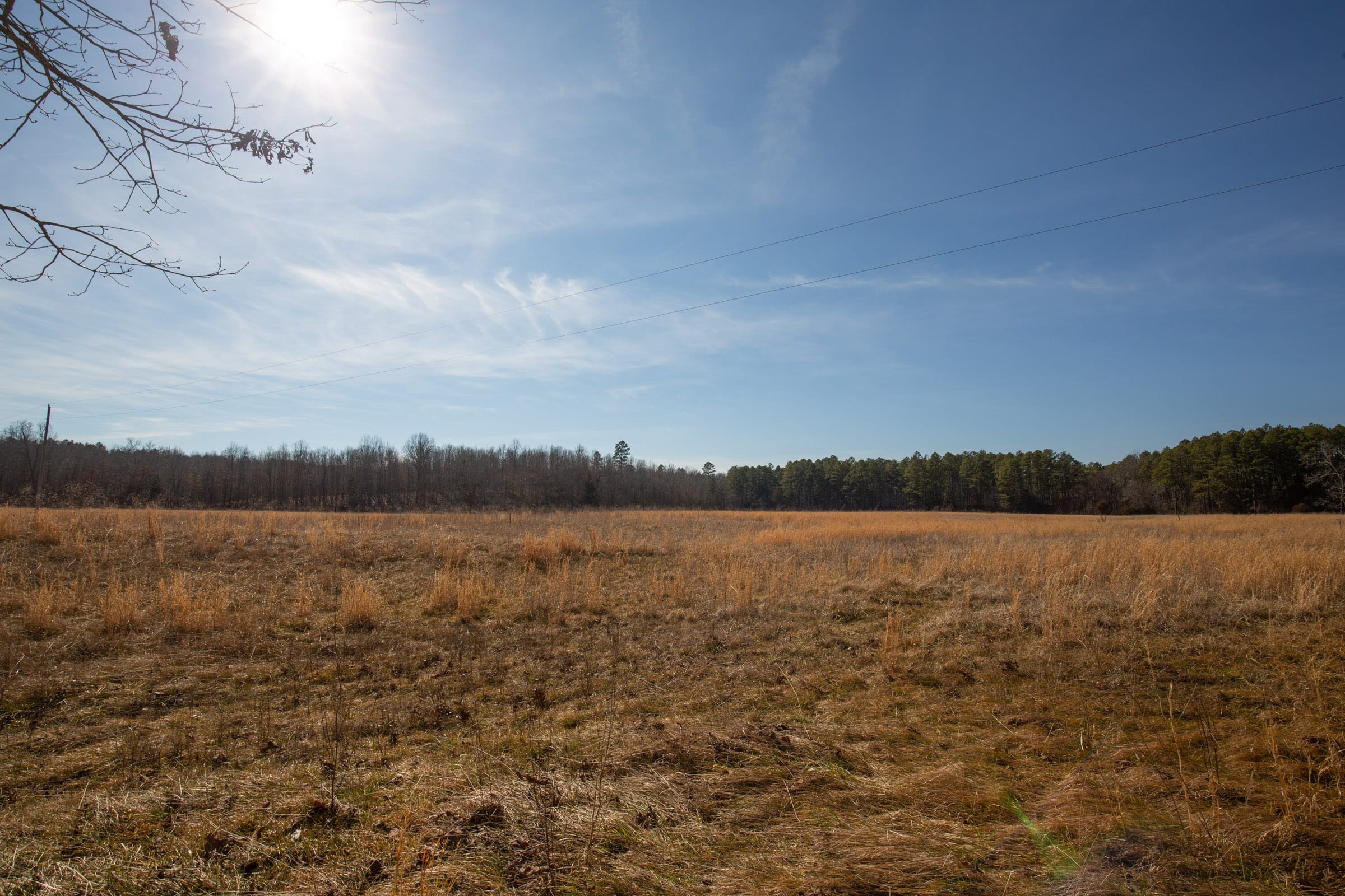 O’Connor Crossing Tract 1 photo 2