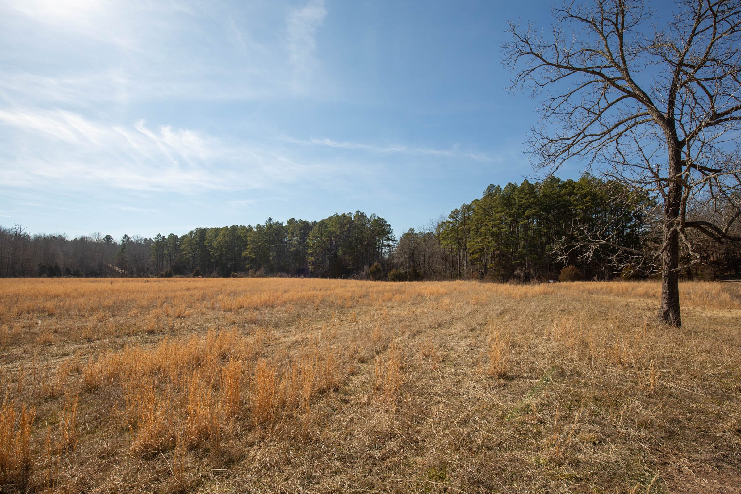 O’Connor Crossing Tract 1 photo 7