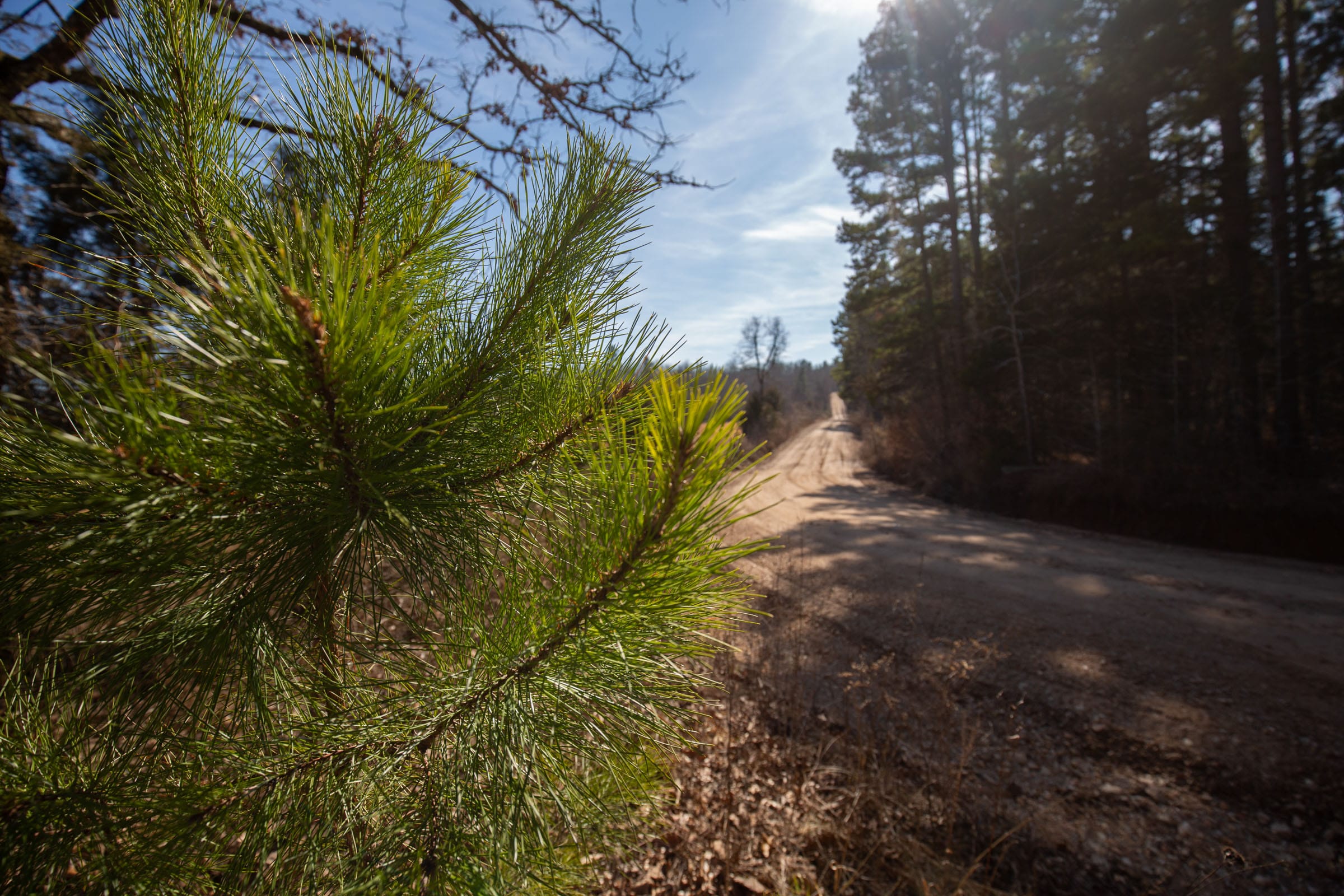O’Connor Crossing Tract 1 photo 5