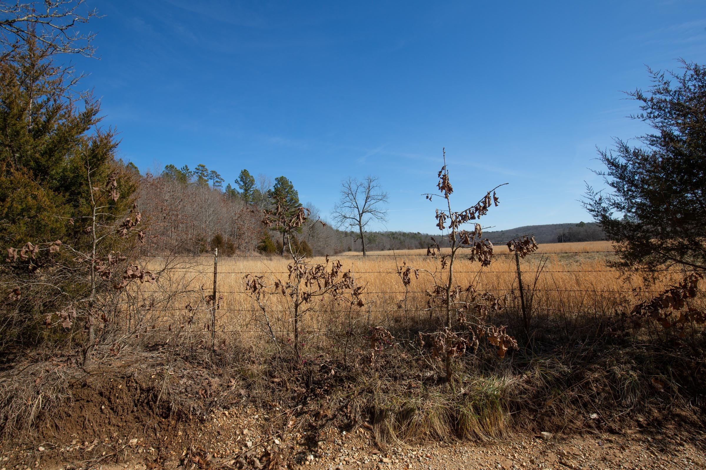 O’Connor Crossing Tract 1 photo 3