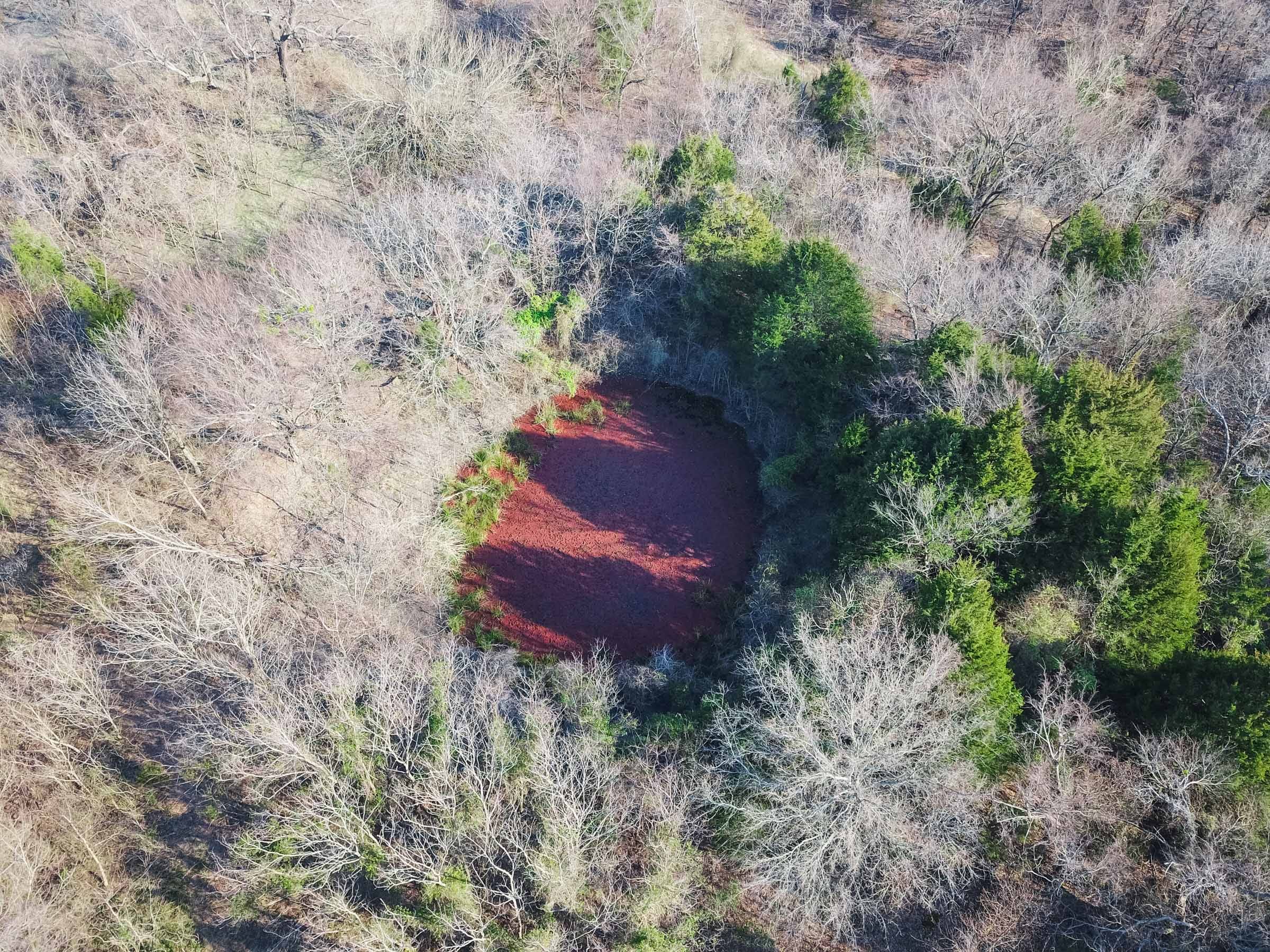 Eufaula Cove Tract 6 photo 2