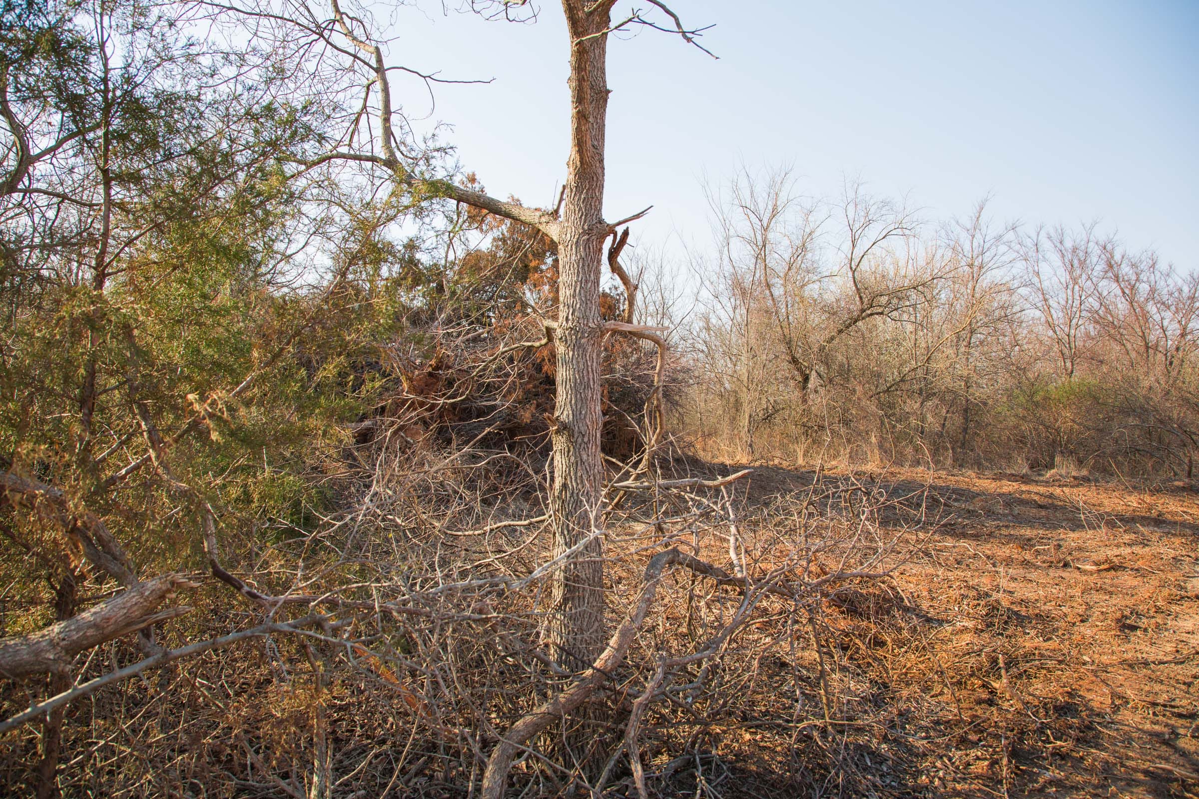 Eufaula Cove Tract 6 photo 4