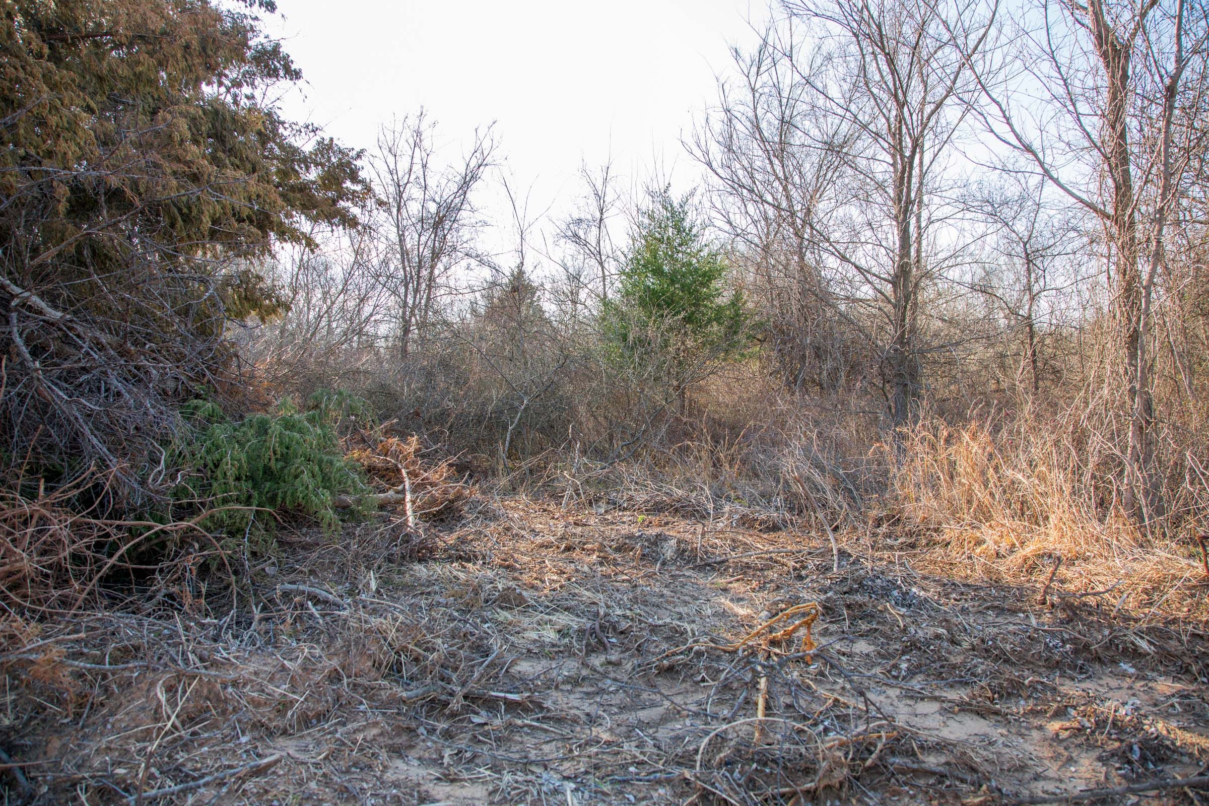 Eufaula Cove Tract 6 photo 6