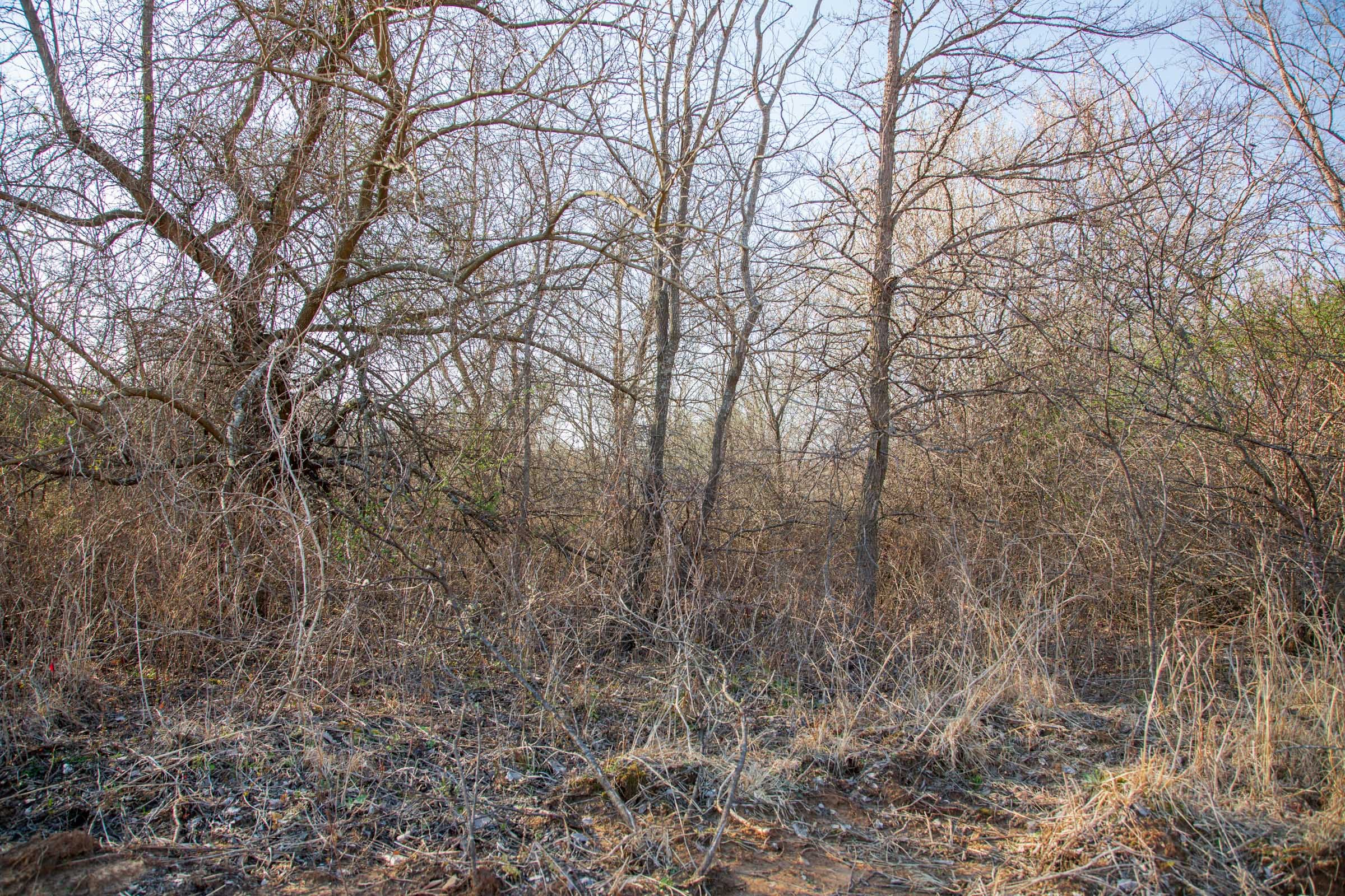 Eufaula Cove Tract 6 photo 8