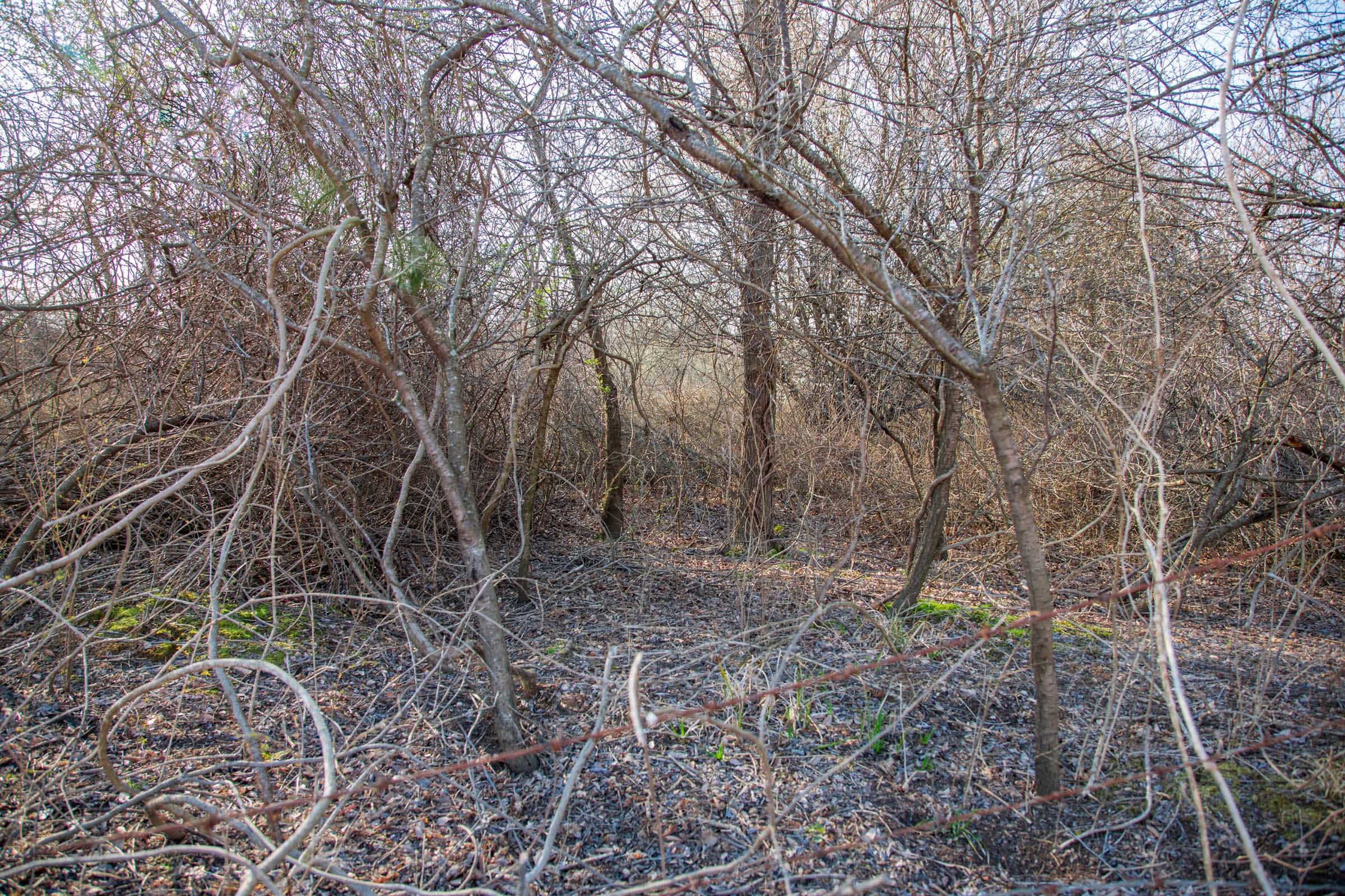 Eufaula Cove Tract 6 photo 9