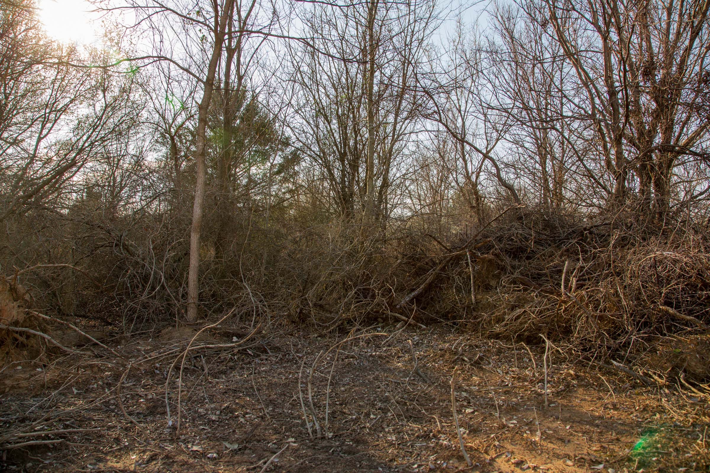 Eufaula Cove Tract 6 photo 11