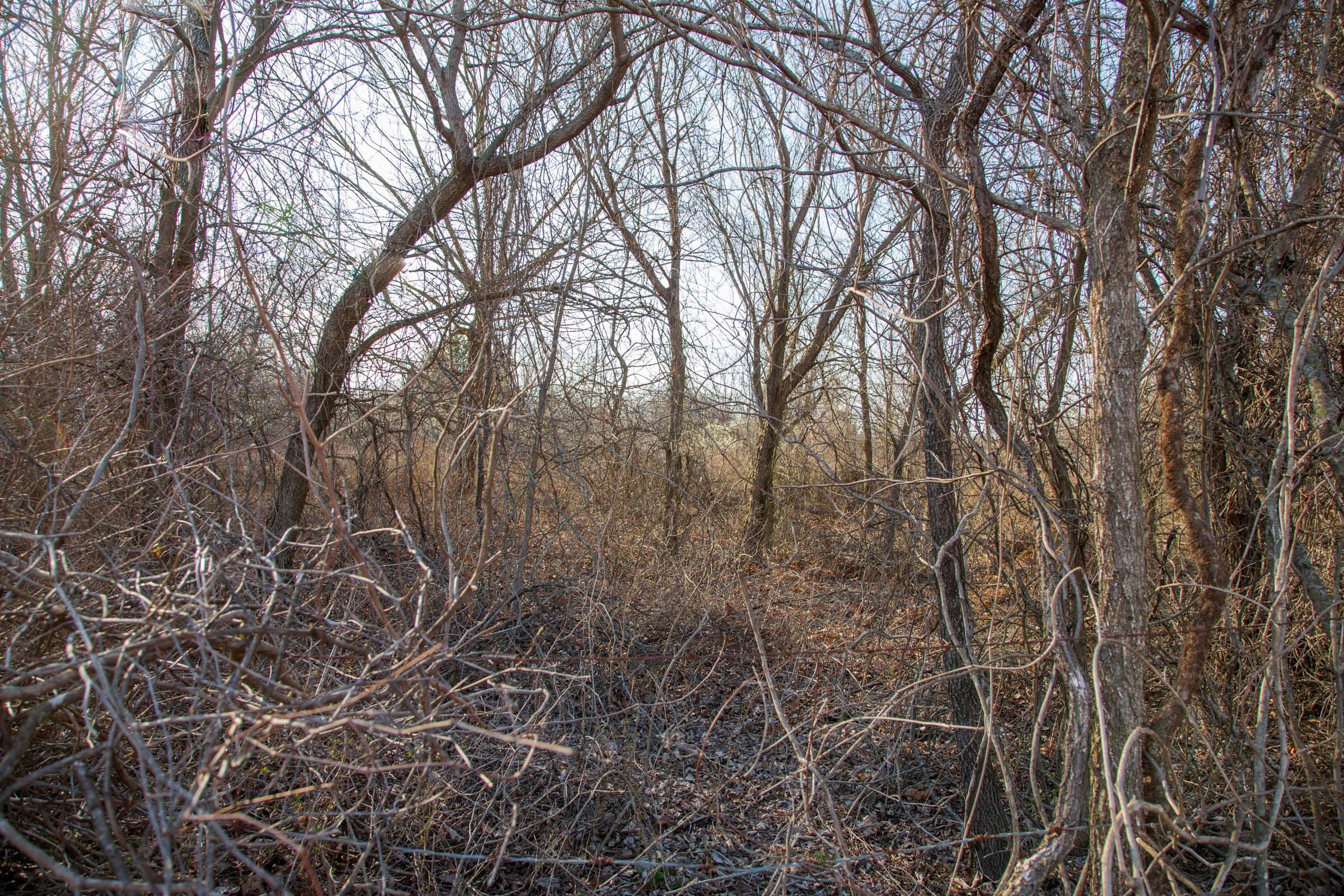 Eufaula Cove Tract 6 photo 12
