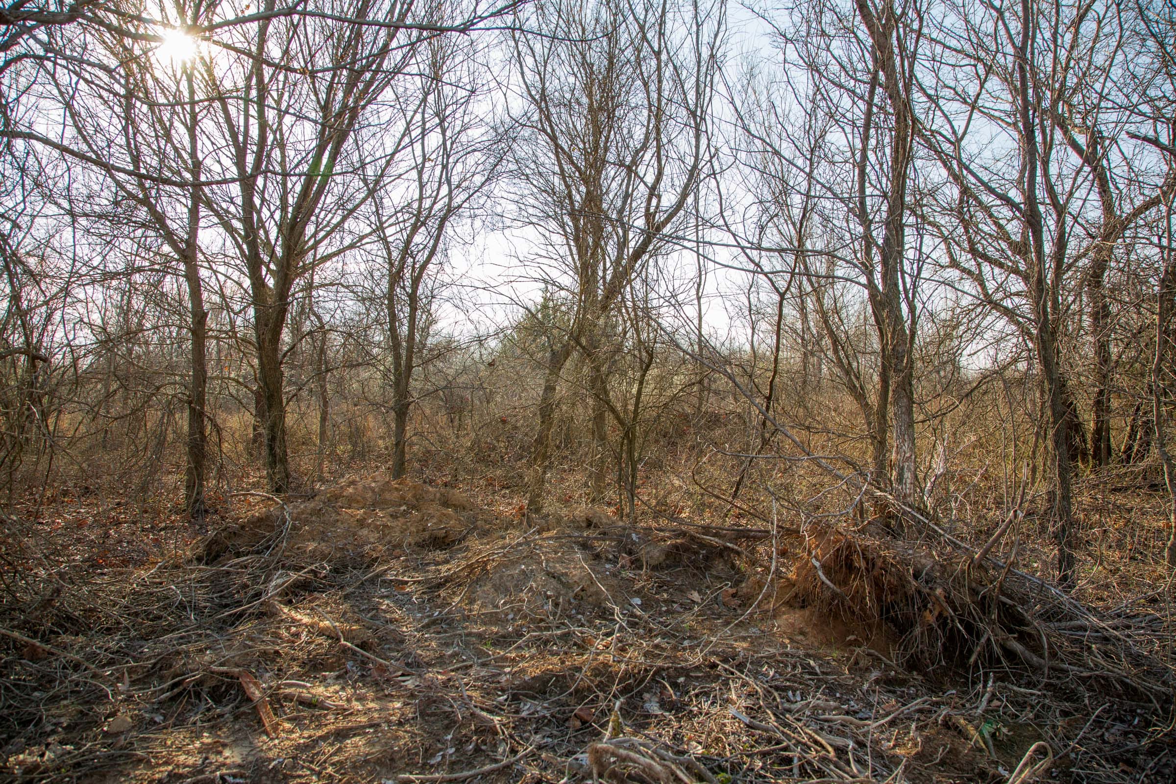 Eufaula Cove Tract 6 photo 13