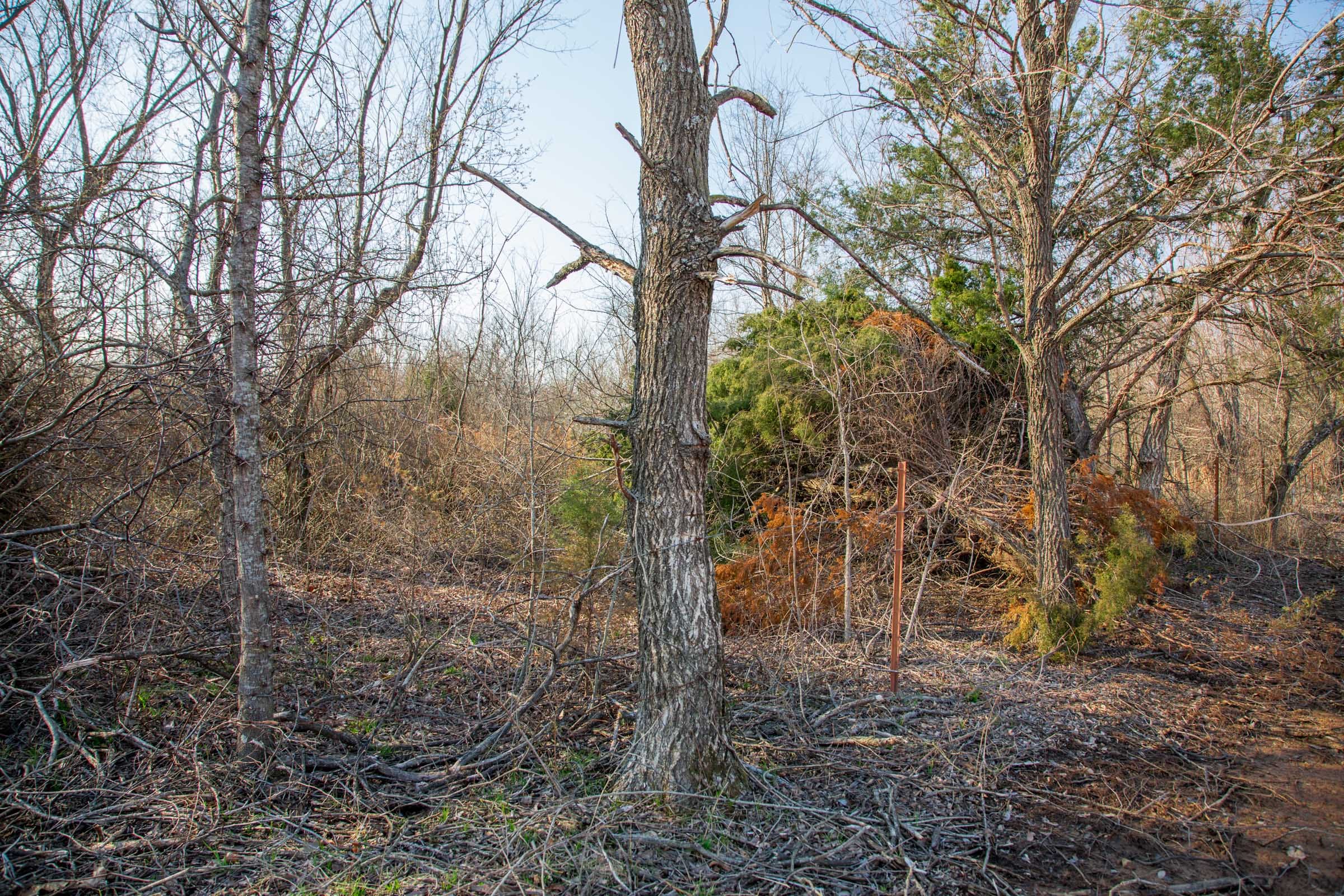 Eufaula Cove Tract 6 photo 14