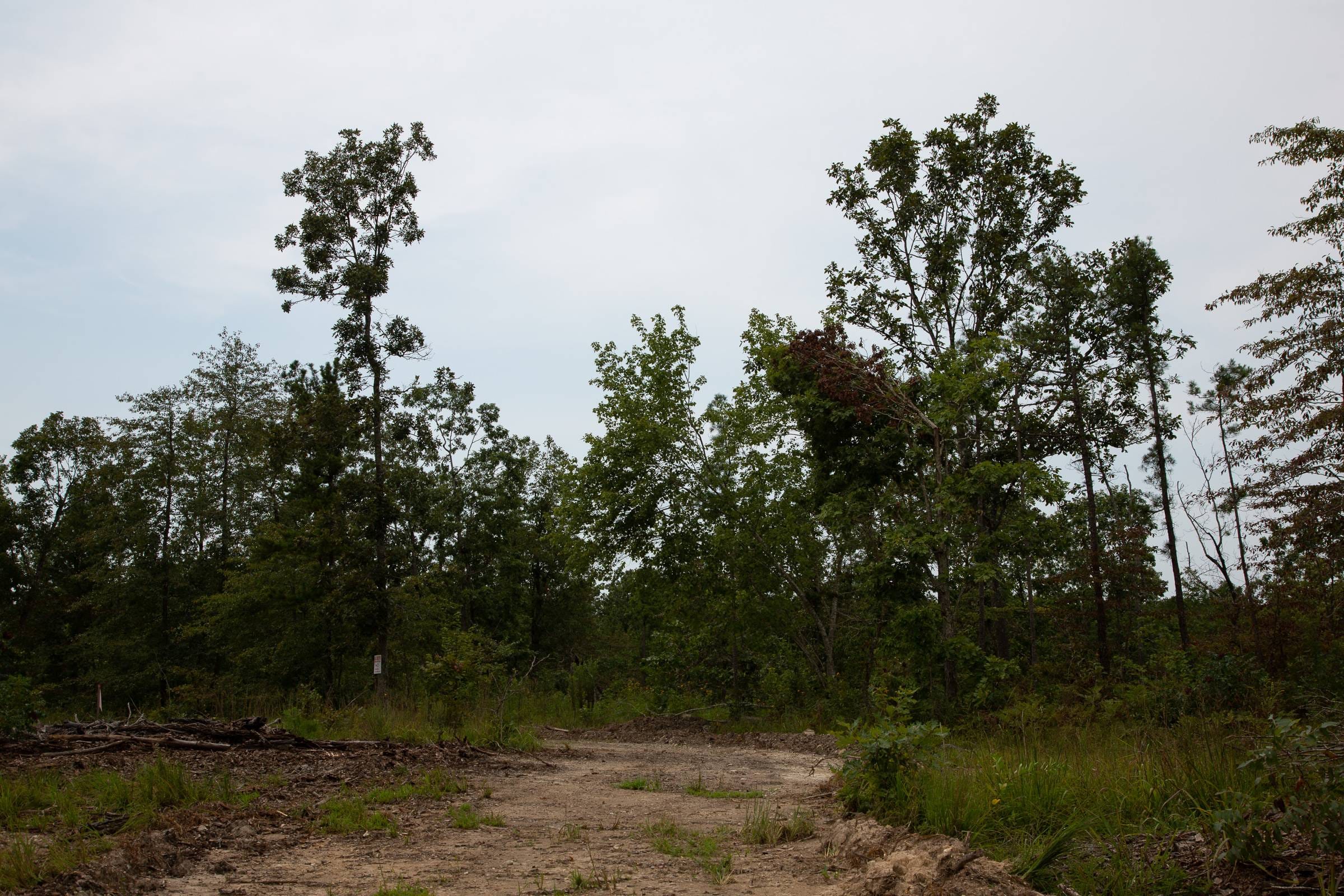 Borgmann’s Hollow Phase I Tract 24 photo 8