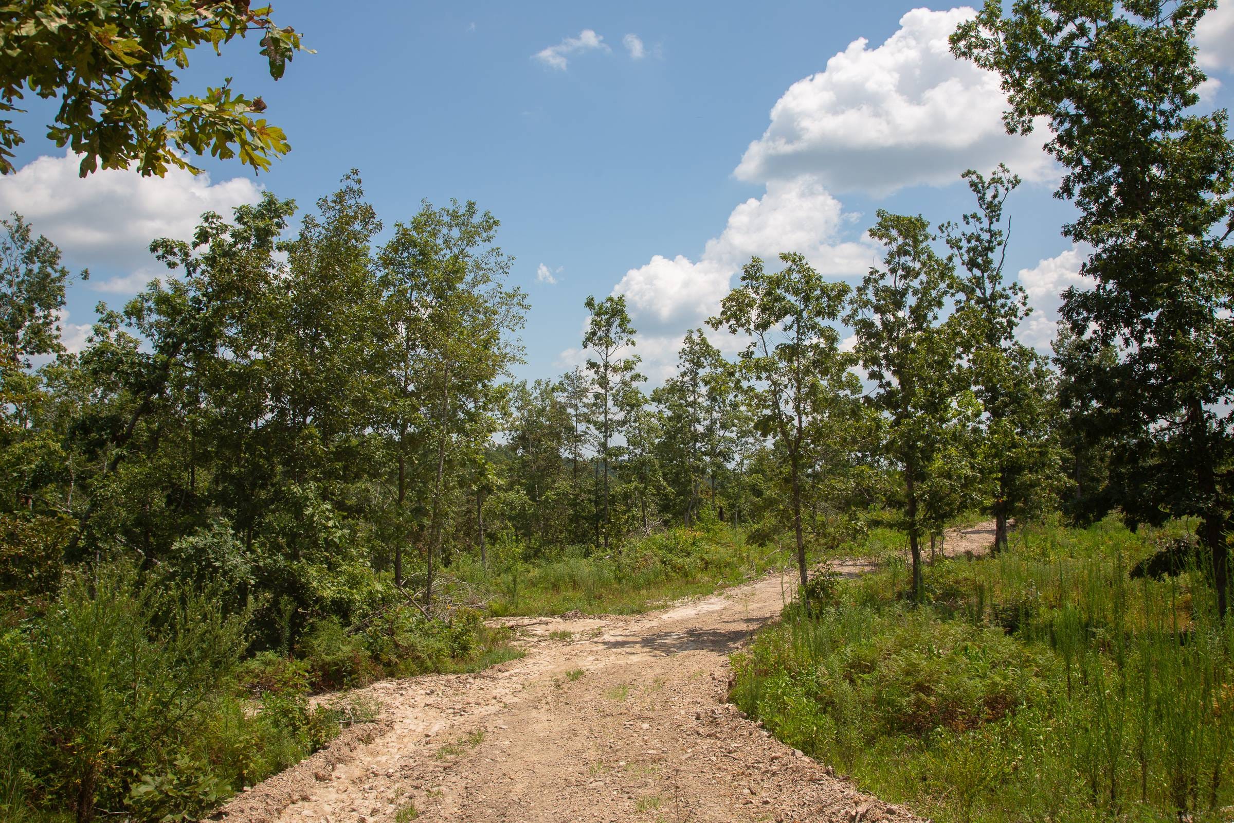 Borgmann’s Hollow Phase I Tract 4 photo 2