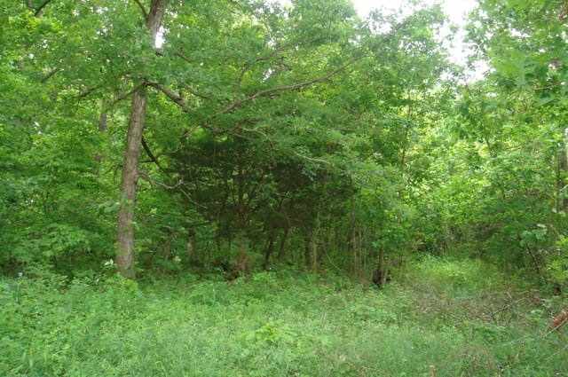 Whispering Oaks Tract 12 photo 1