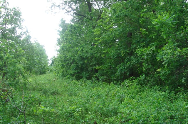 Whispering Oaks Tract 12 photo 2