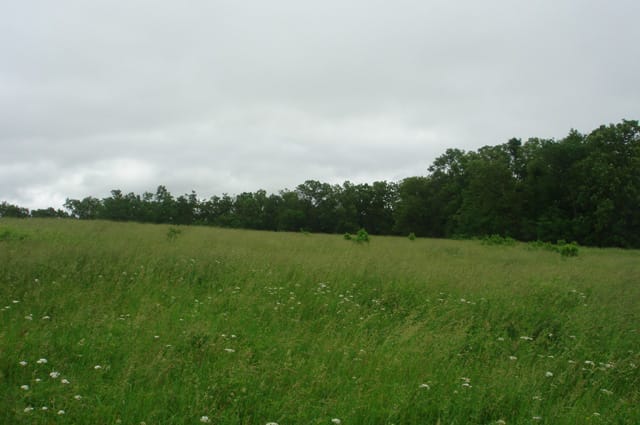 Whispering Oaks Tract 12 photo 4
