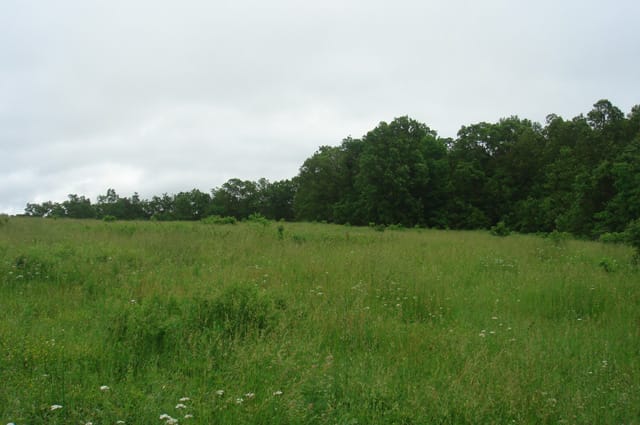 Whispering Oaks Tract 12 photo 7