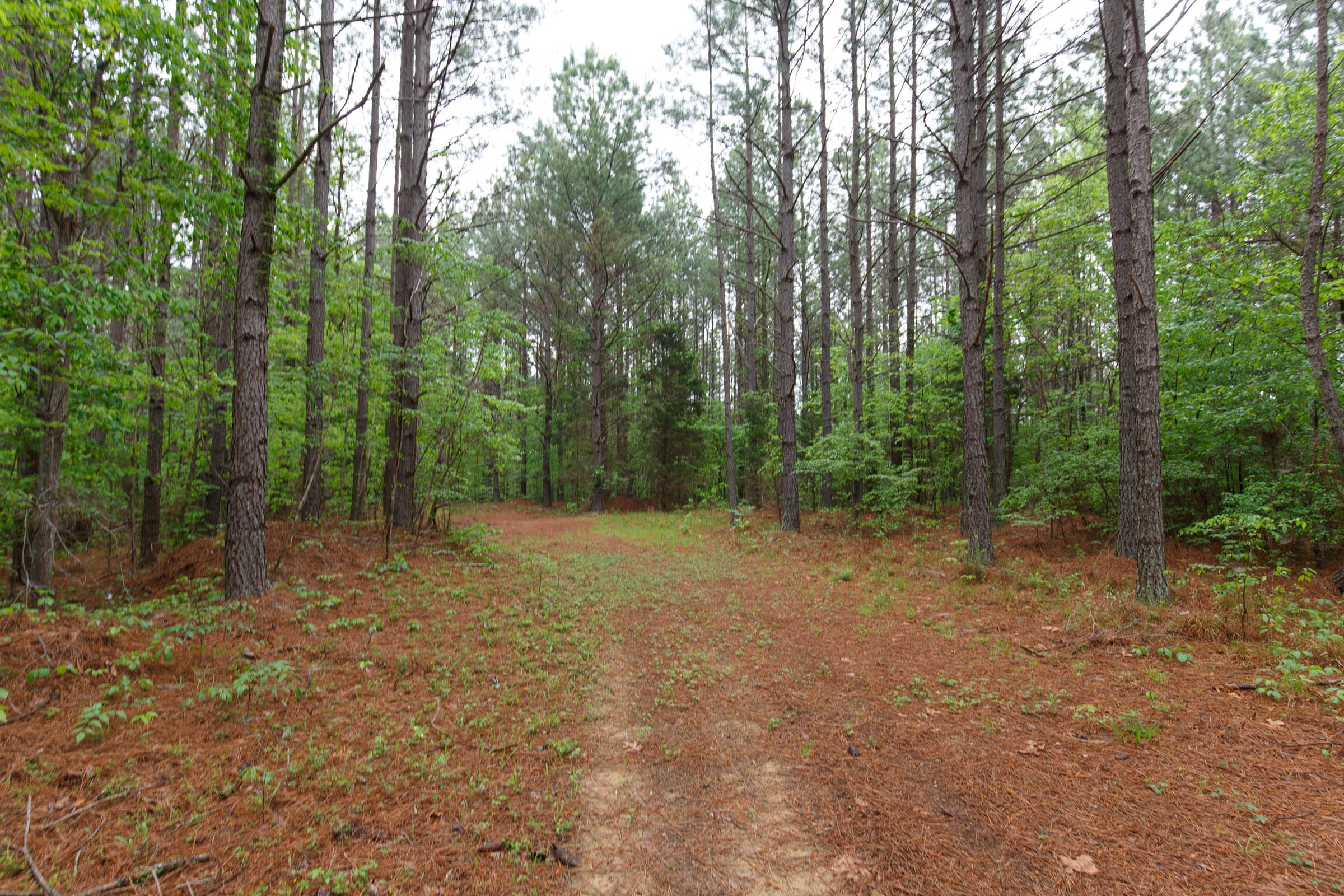 Red Barn Ranch Tract 22 photo 1