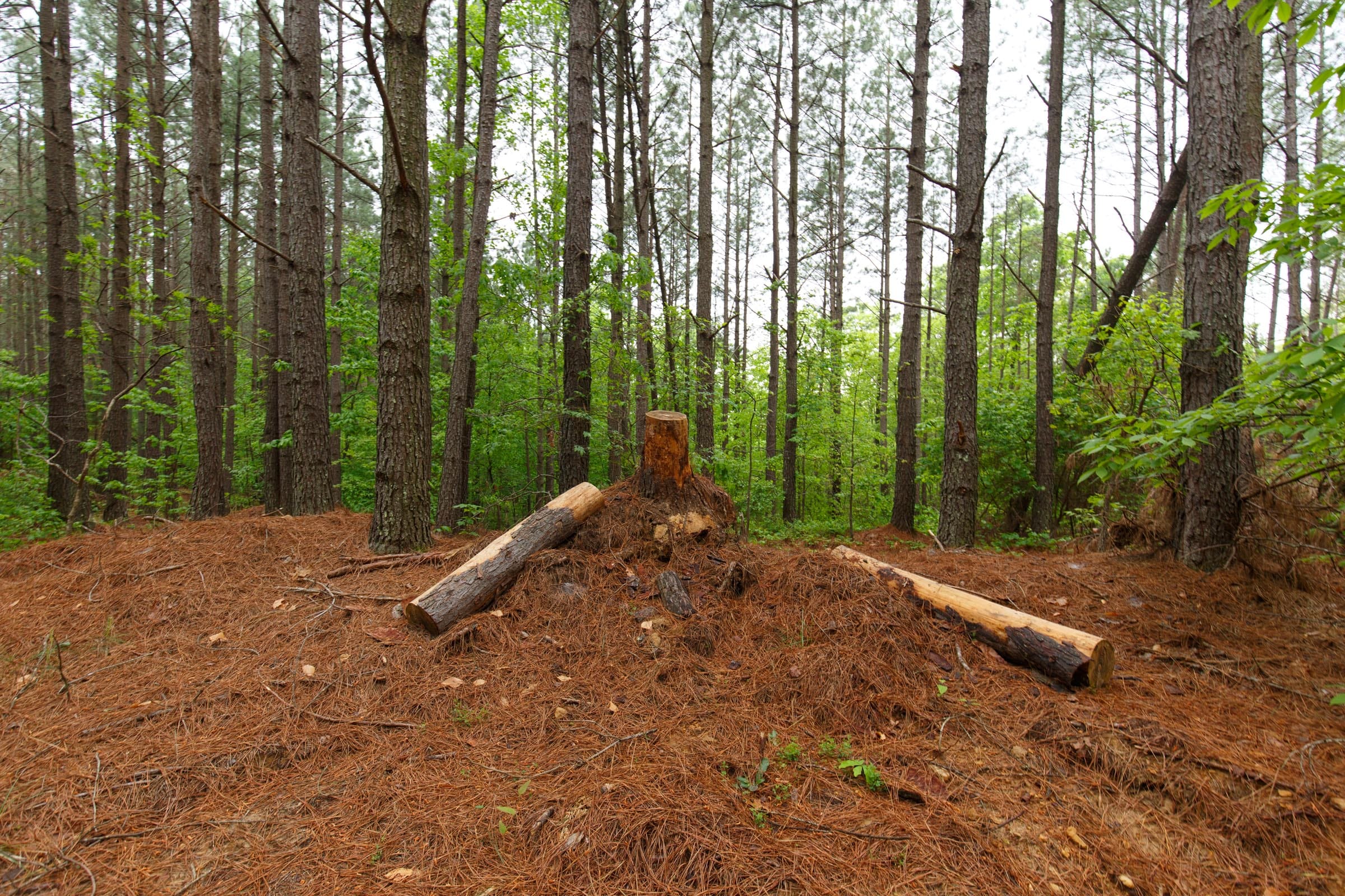 Red Barn Ranch Tract 22 photo 4