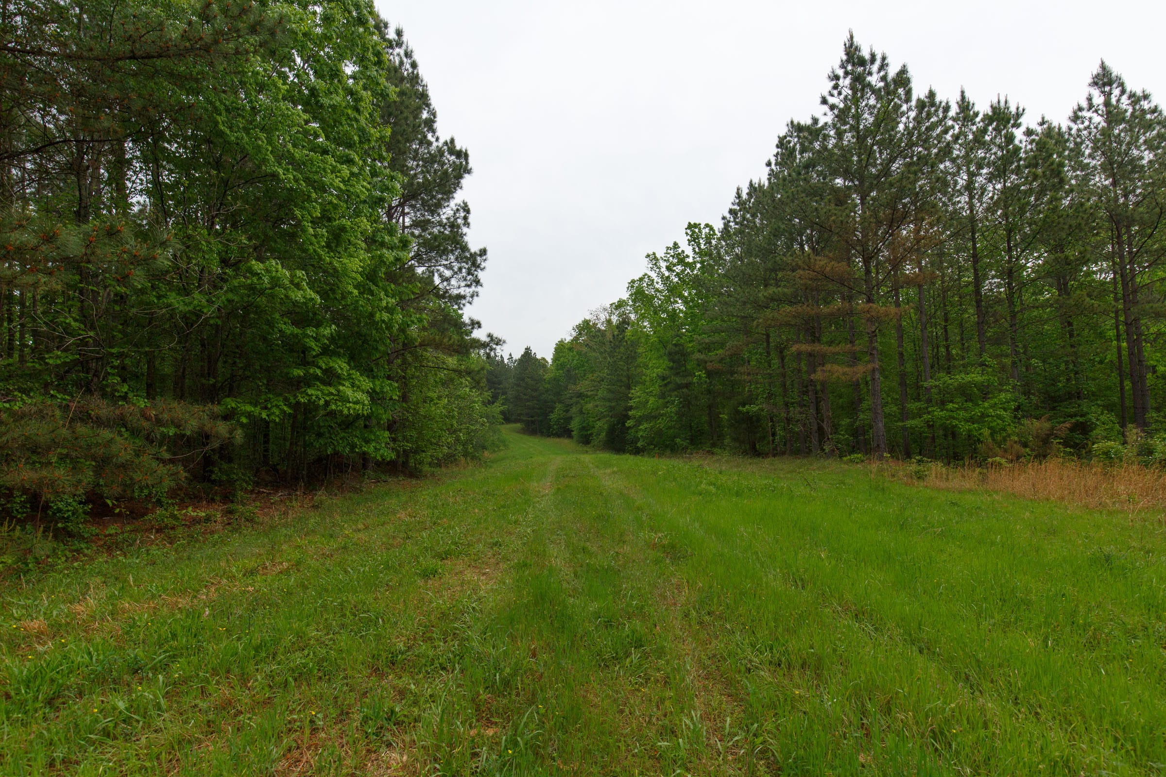 Red Barn Ranch Tract 22 photo 8
