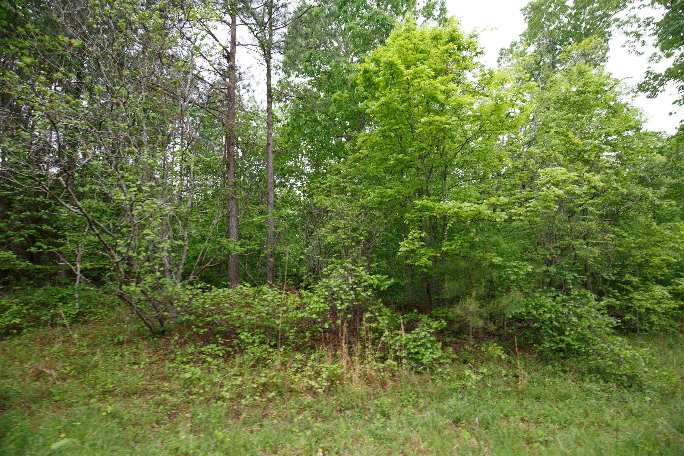 Red Barn Ranch Tract 22 photo 10