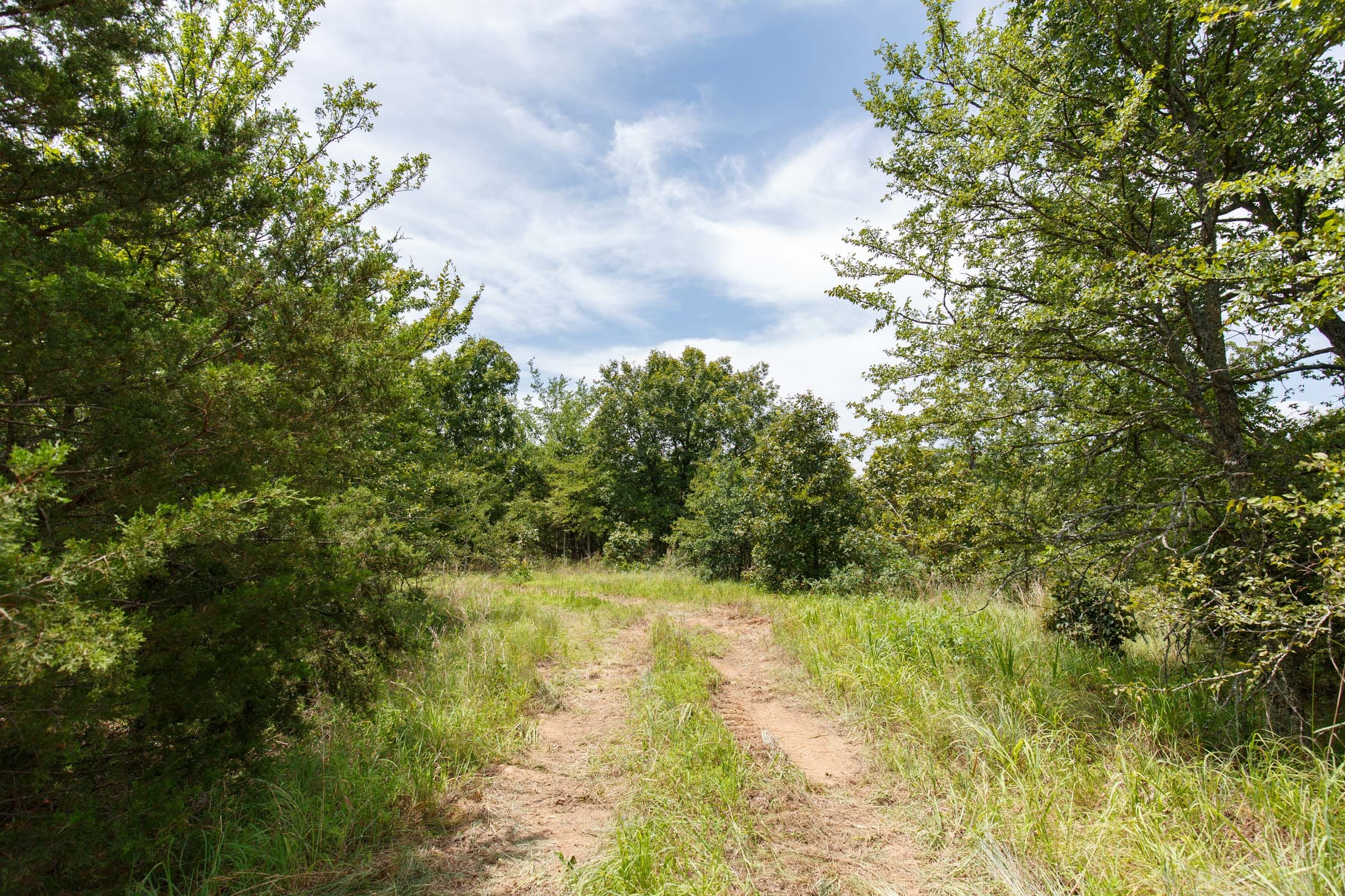 Timber Ridge Tract 13 photo 3