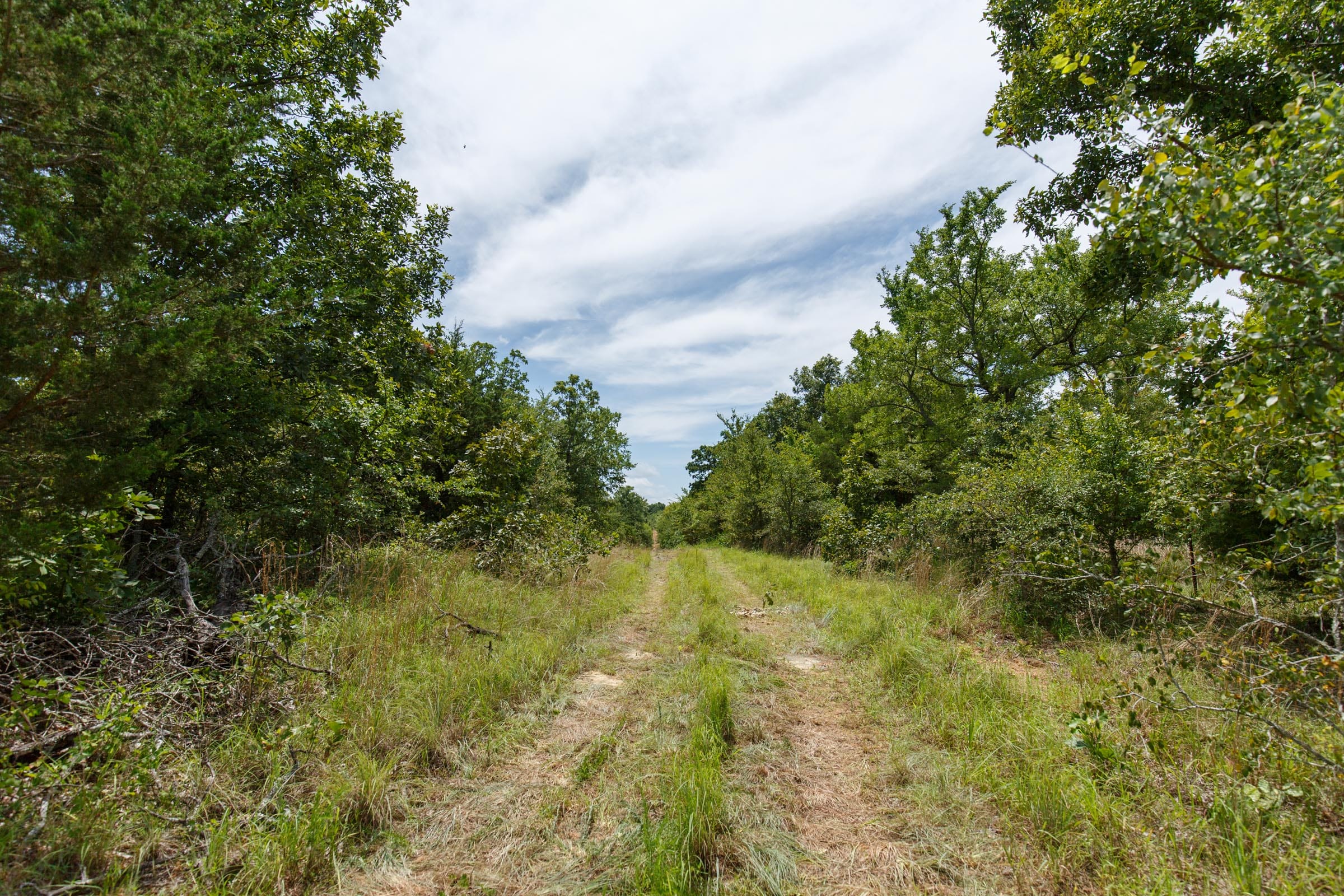 Timber Ridge Tract 13 photo 1