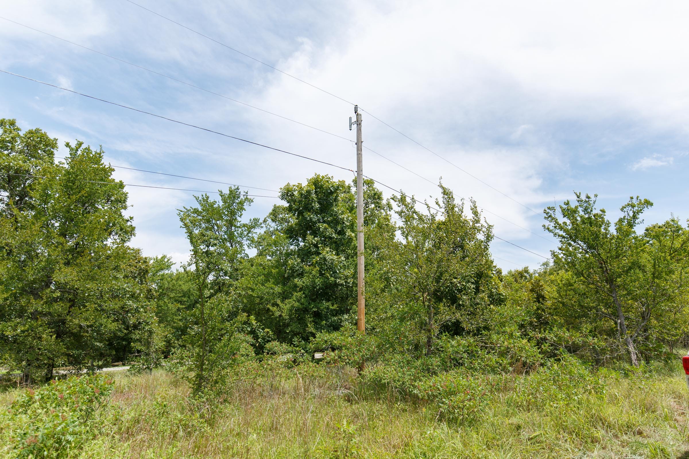 Timber Ridge Tract 13 photo 4