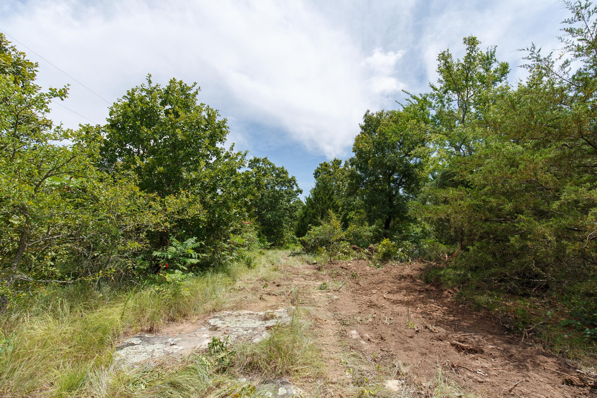 Timber Ridge Tract 13 photo 5