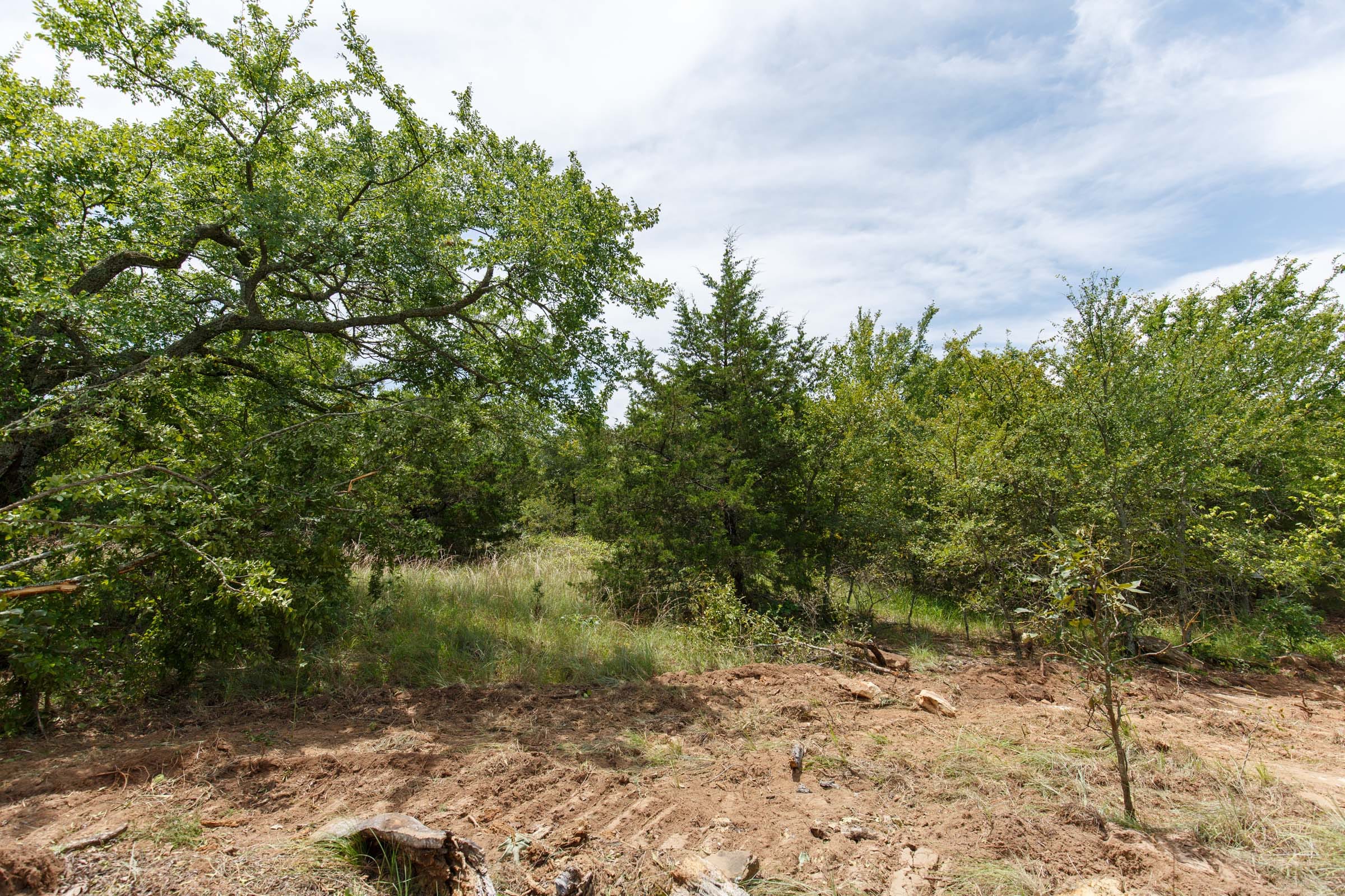 Timber Ridge Tract 13 photo 7