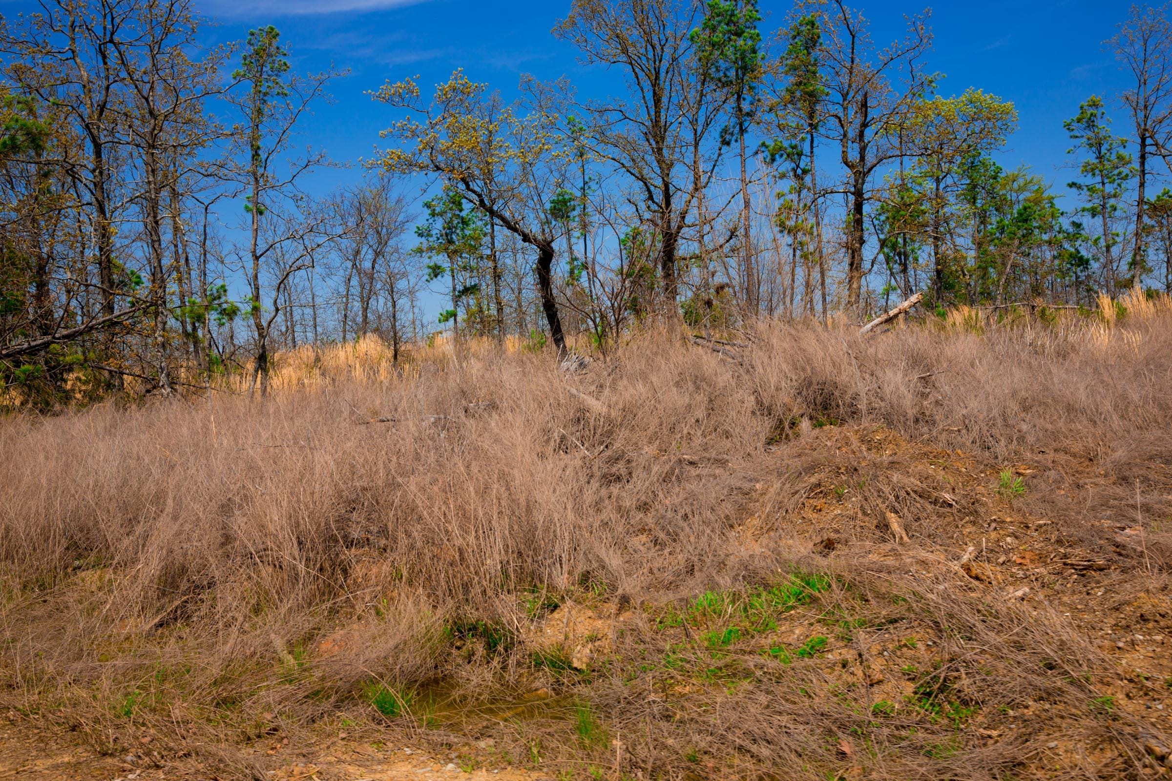 Stone Creek Phase II Tract 235 photo 5