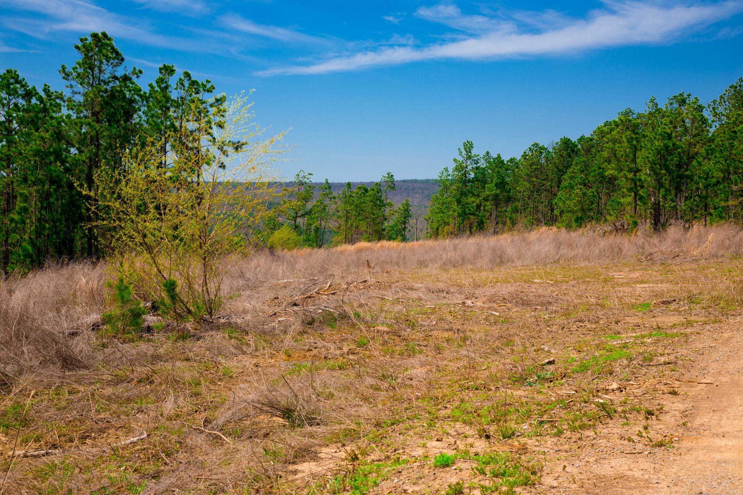 Stone Creek Phase II Tract 235 photo 4