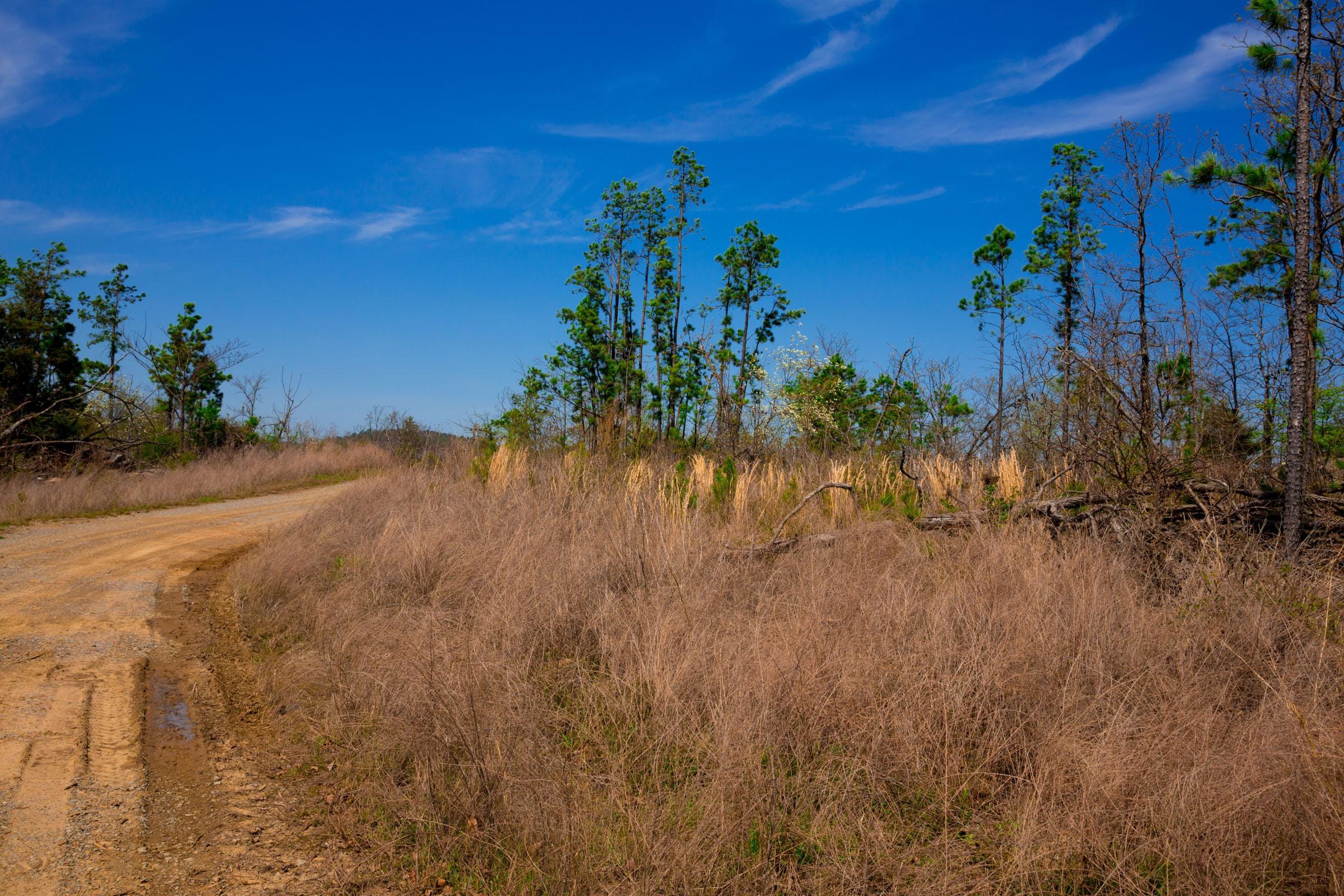 Stone Creek Phase II Tract 235 photo 7