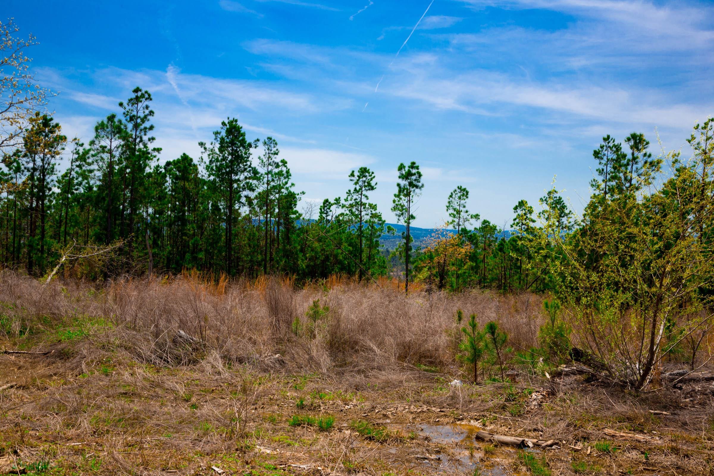 Stone Creek Phase II Tract 235 photo 8