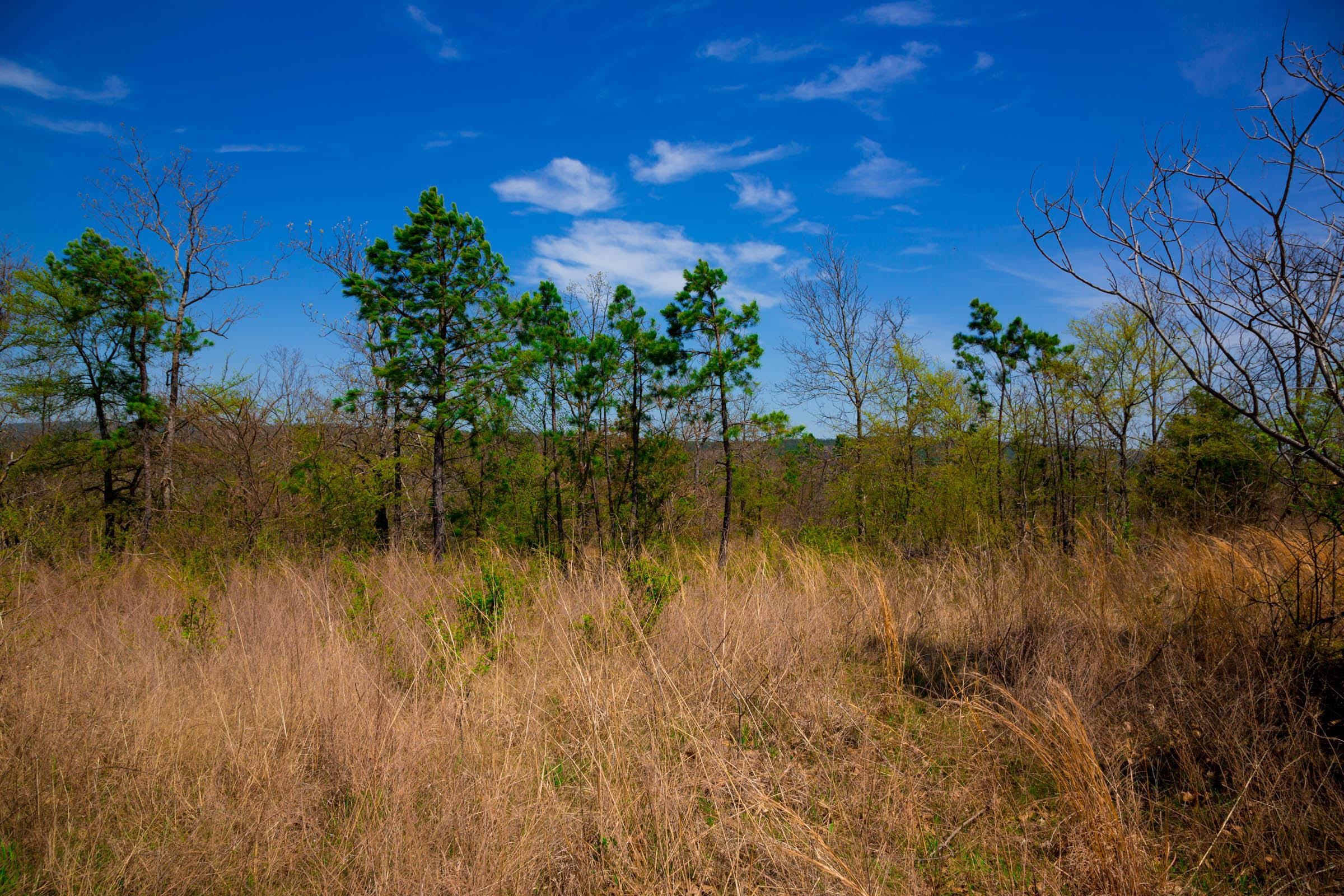 Stone Creek Phase II Tract 235 photo 11