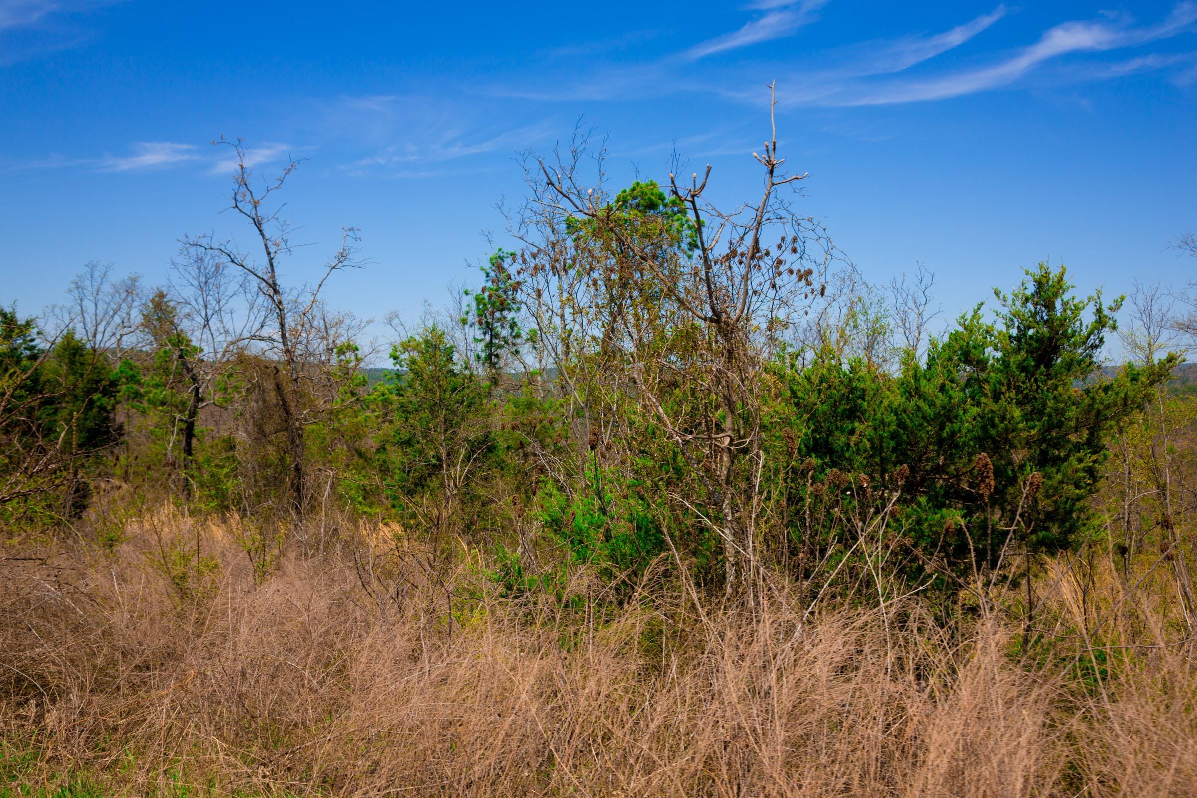 Stone Creek Phase II Tract 235 photo 13
