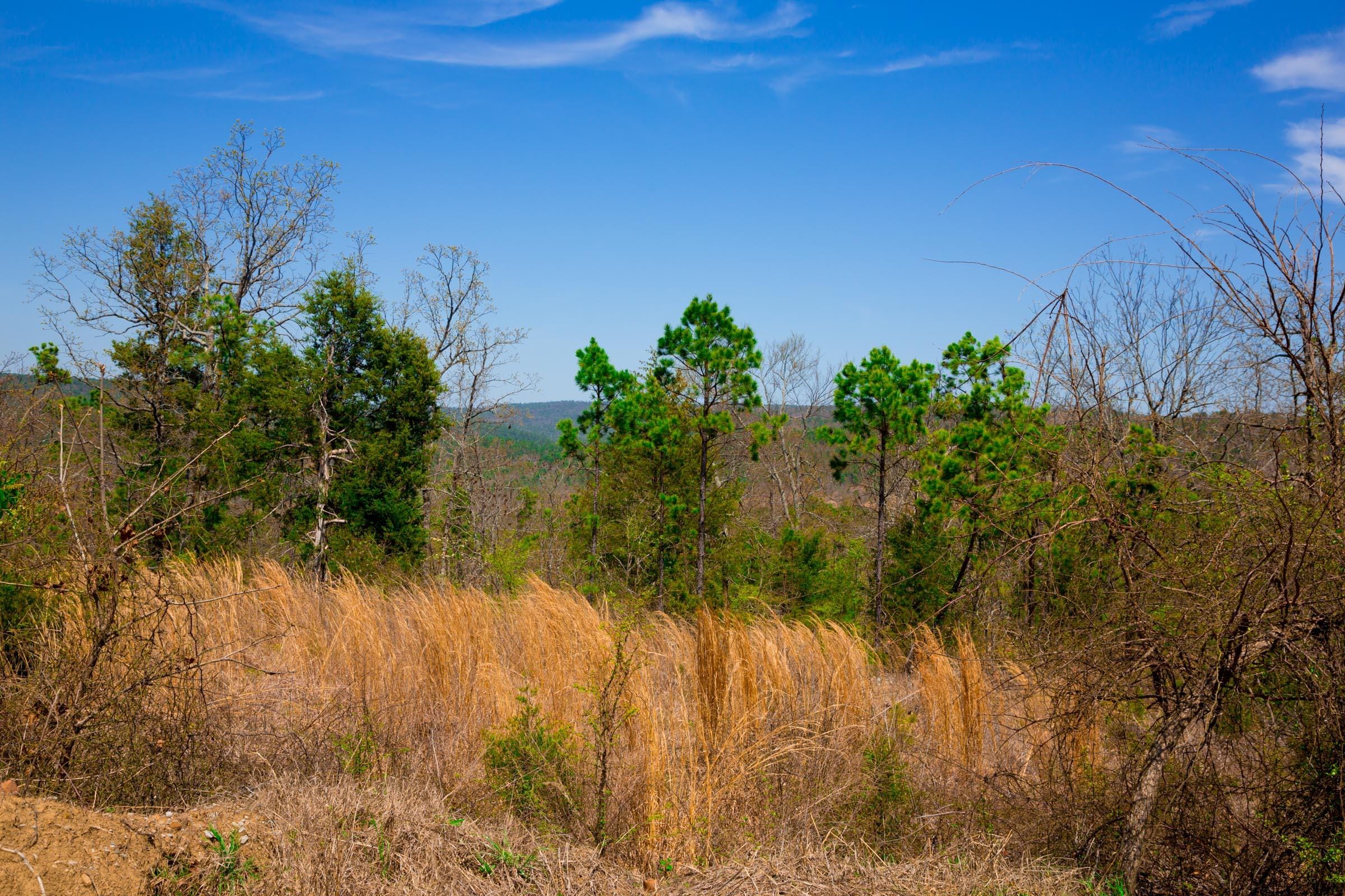 Stone Creek Phase II Tract 235 photo 12