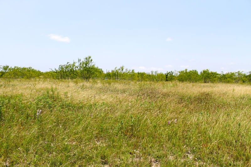 Meadowview Estates Tract 69 photo 1