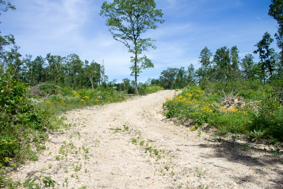 Timber Crossing Tract 13 photo 2