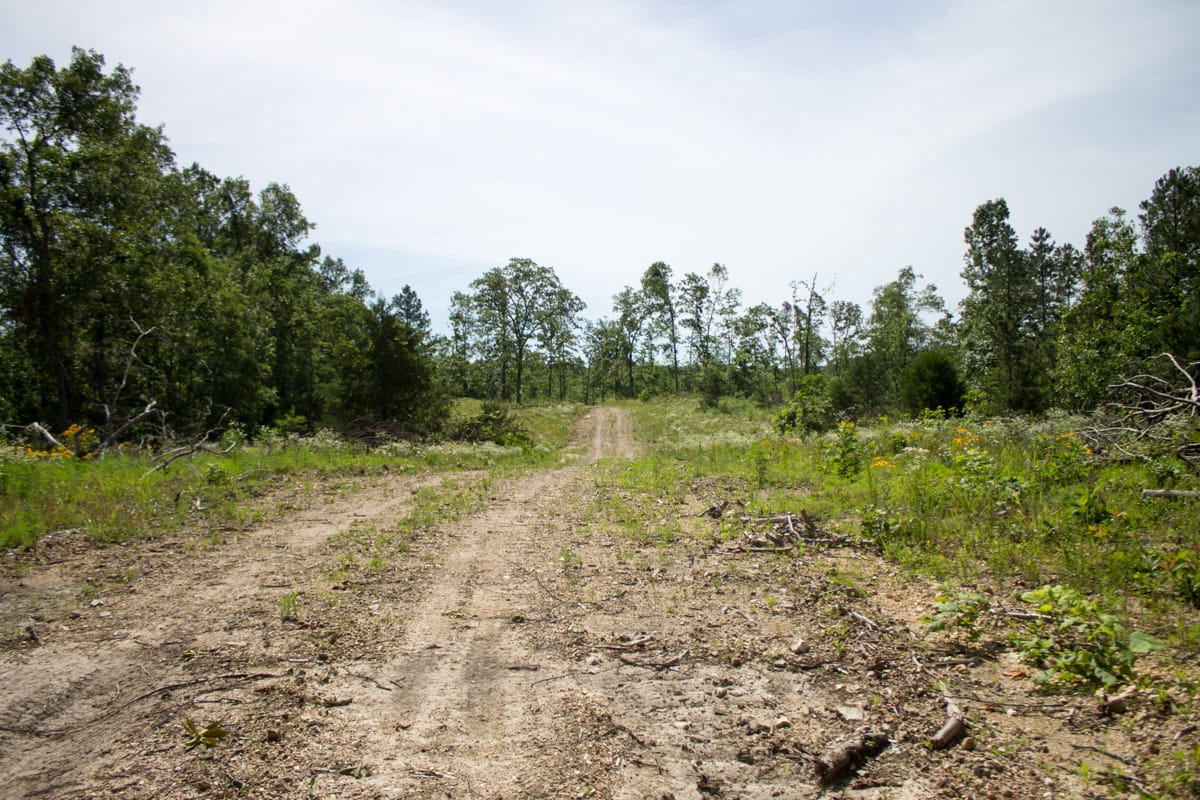 Timber Crossing Tract 13 photo 3