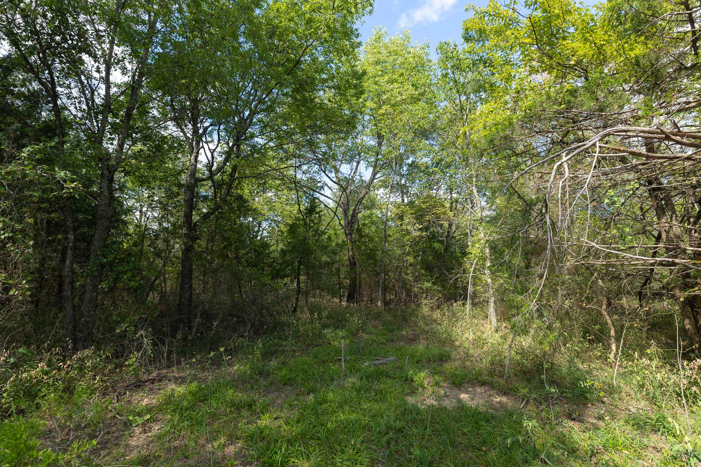 Reserves At Cattail Cove Phase II Tract 81 photo 14