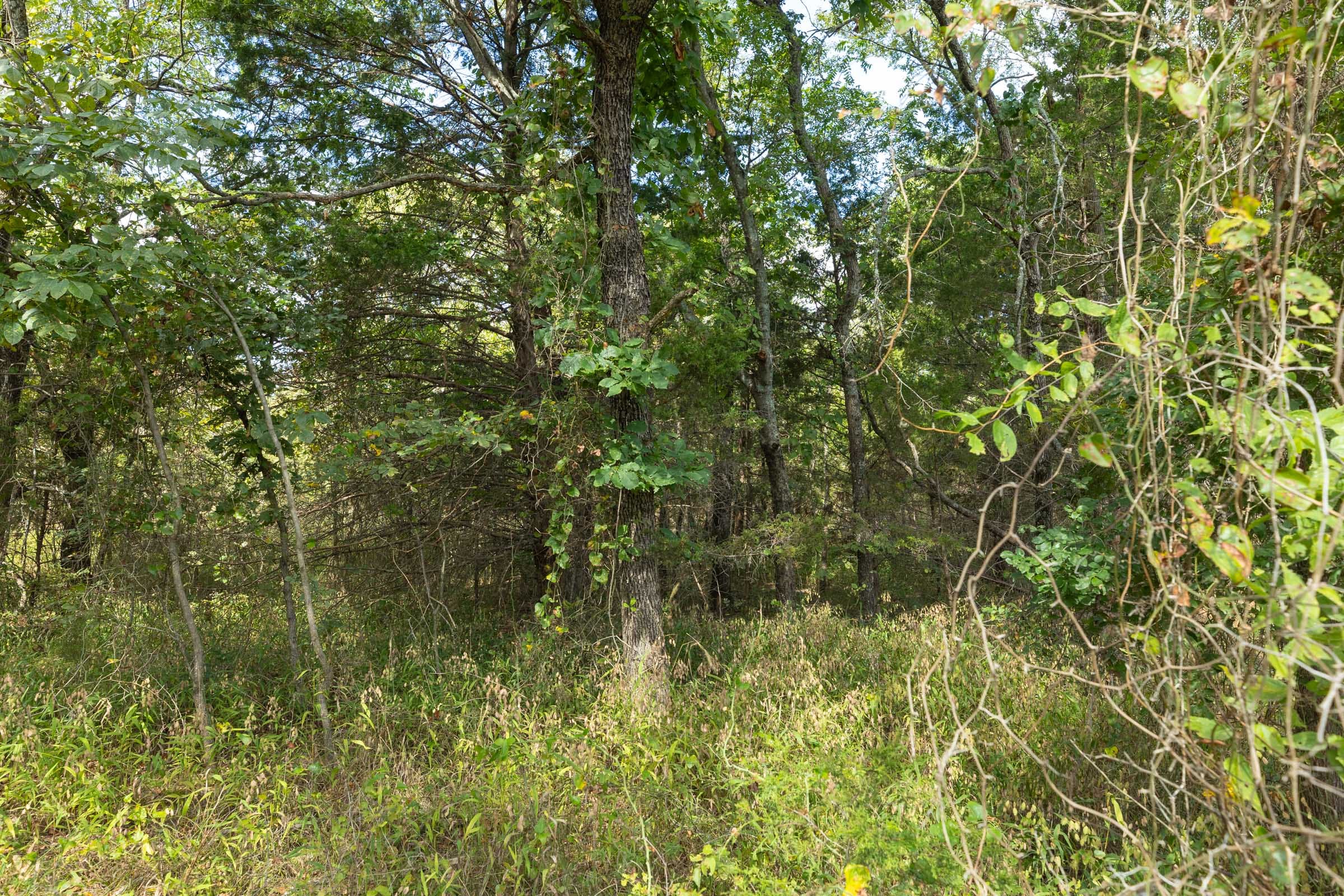 Reserves At Cattail Cove Phase II Tract 81 photo 13