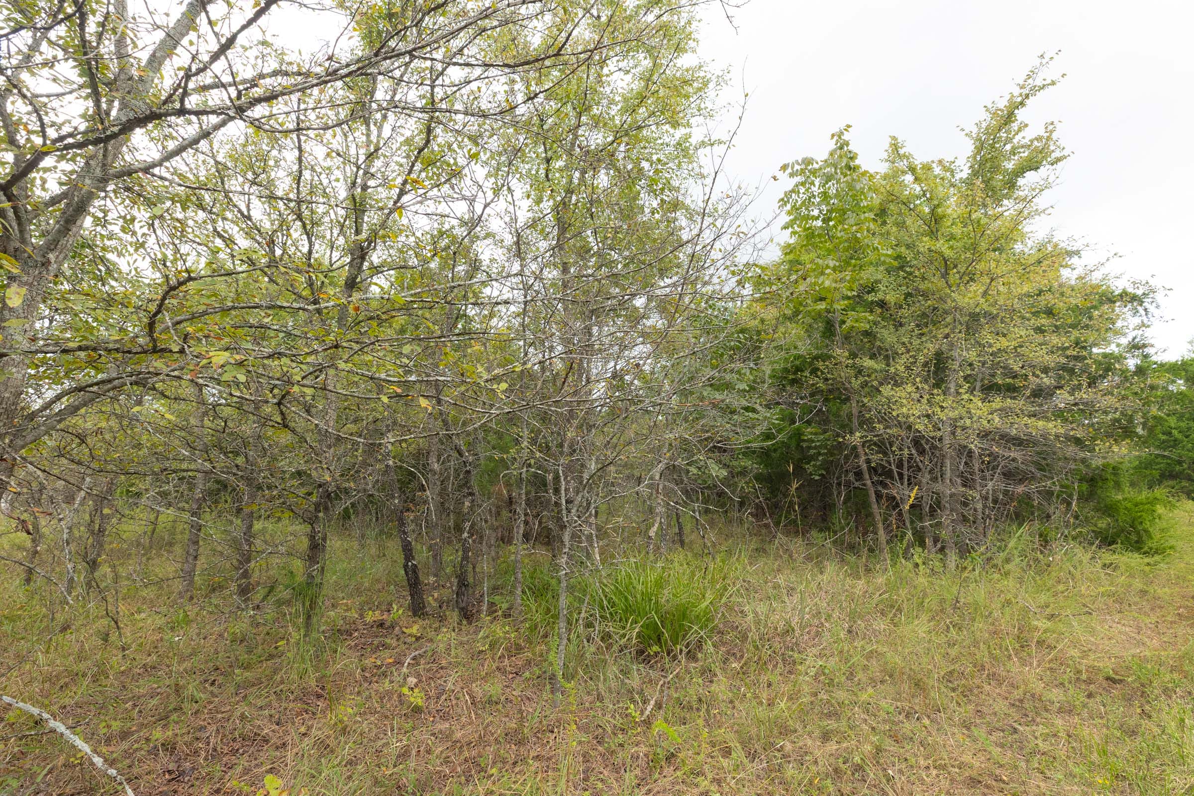 Reserves At Cattail Cove Phase II Tract 81 photo 12