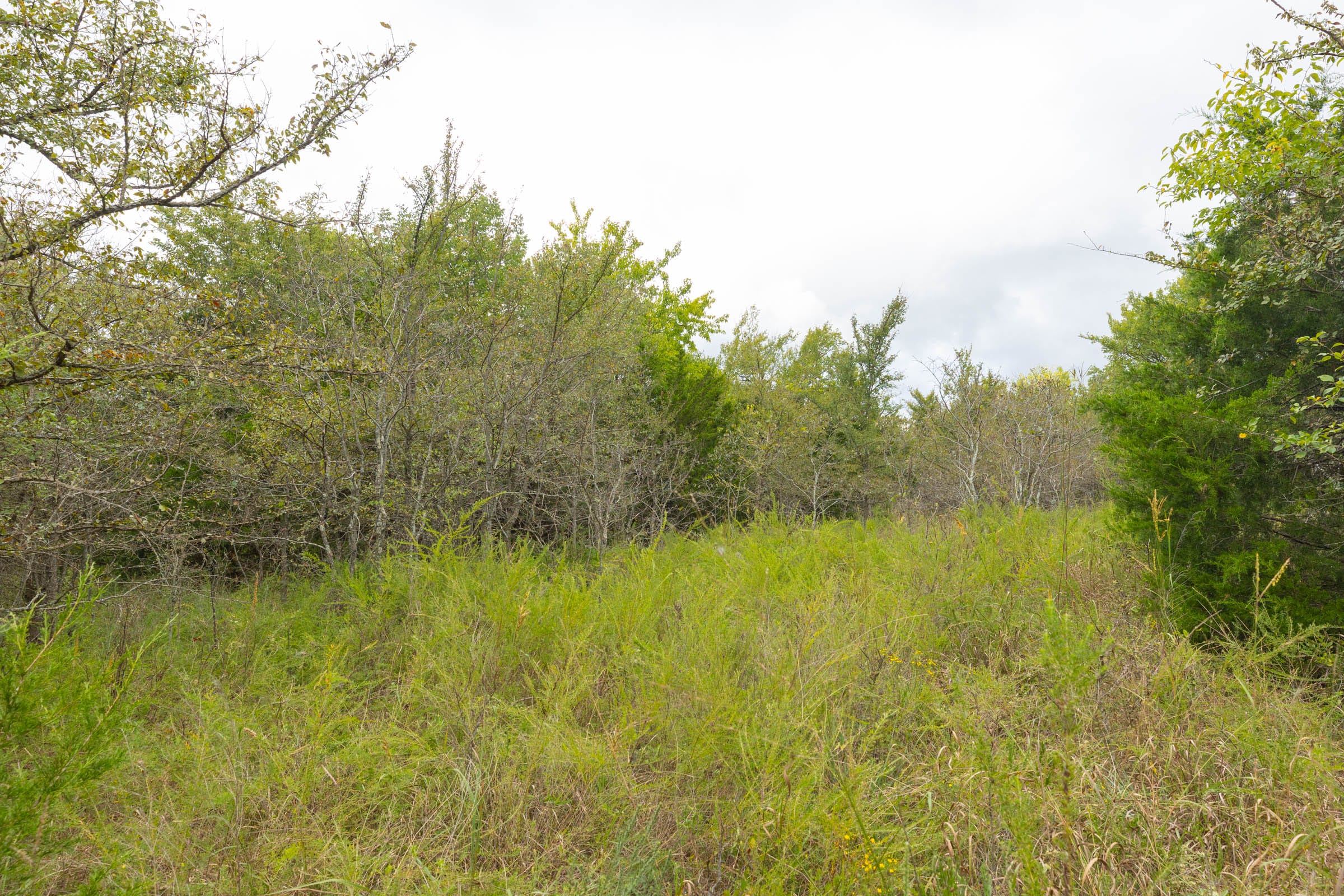 Reserves At Cattail Cove Phase II Tract 81 photo 11