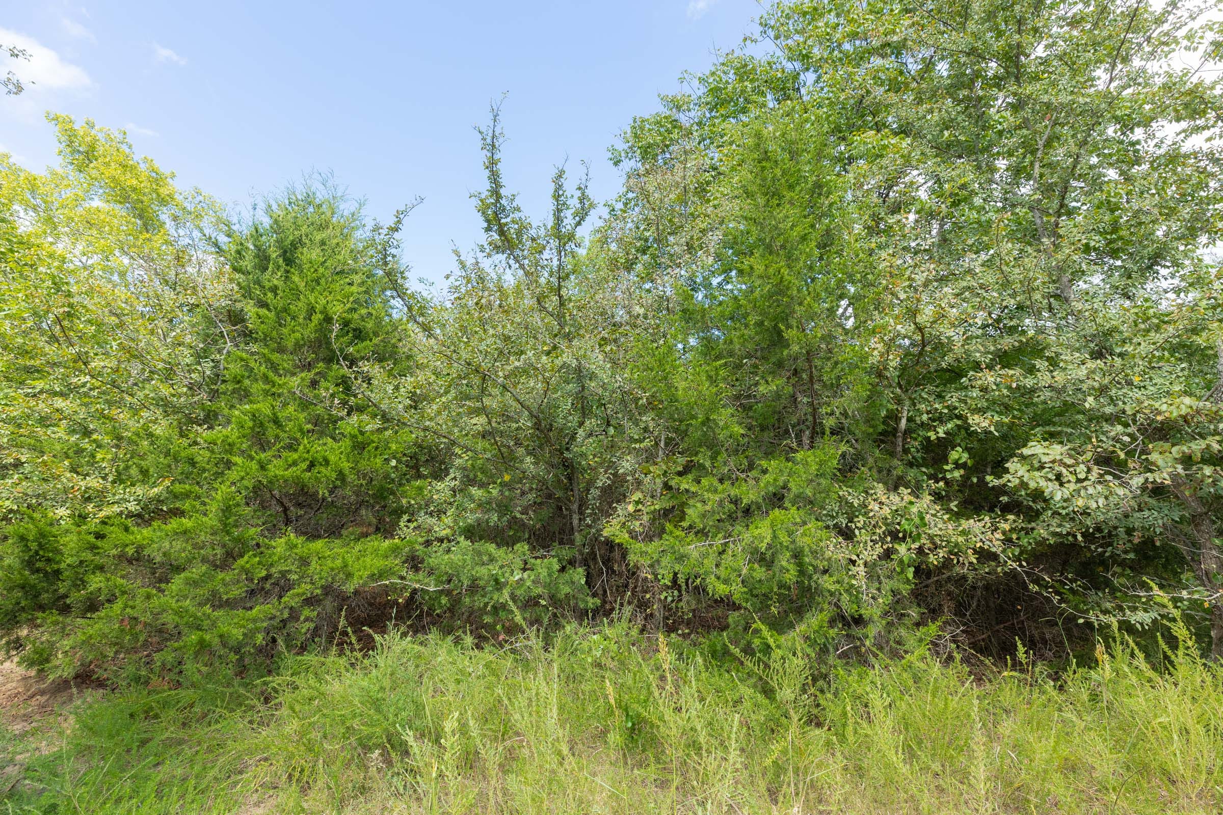 Reserves At Cattail Cove Phase II Tract 81 photo 10