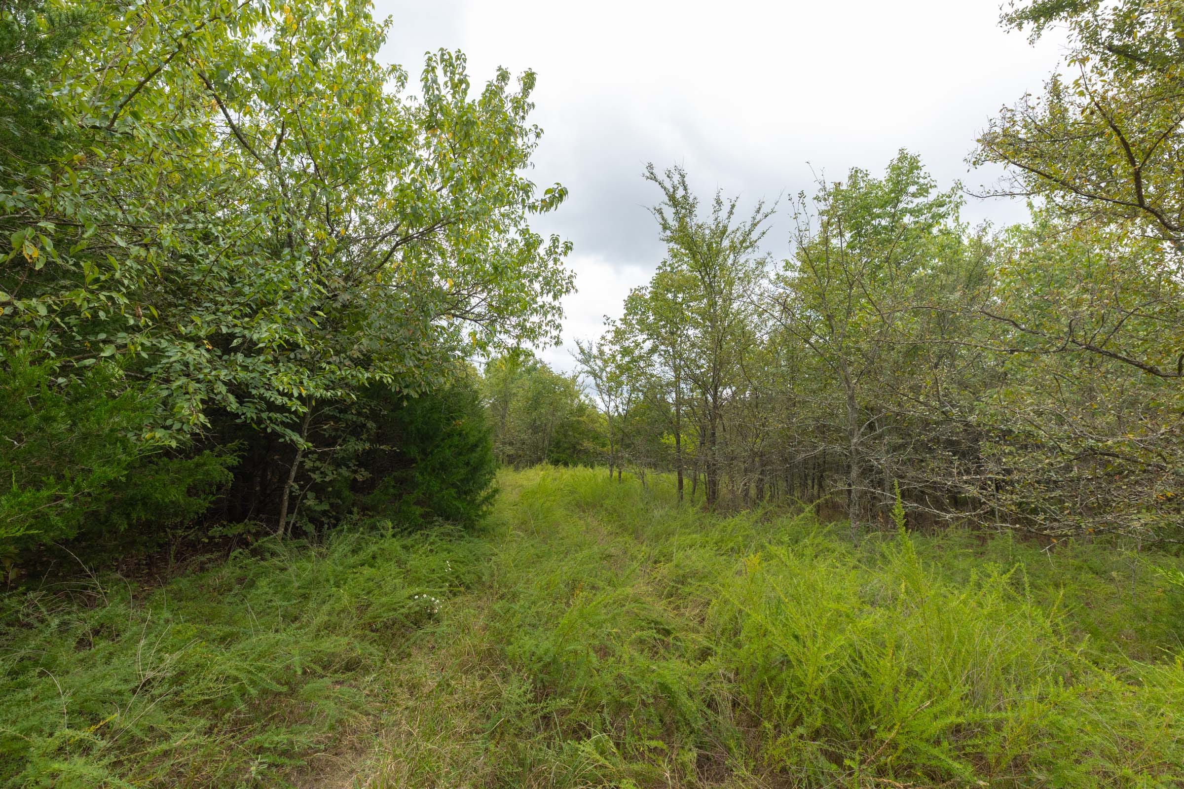 Reserves At Cattail Cove Phase II Tract 81 photo 9