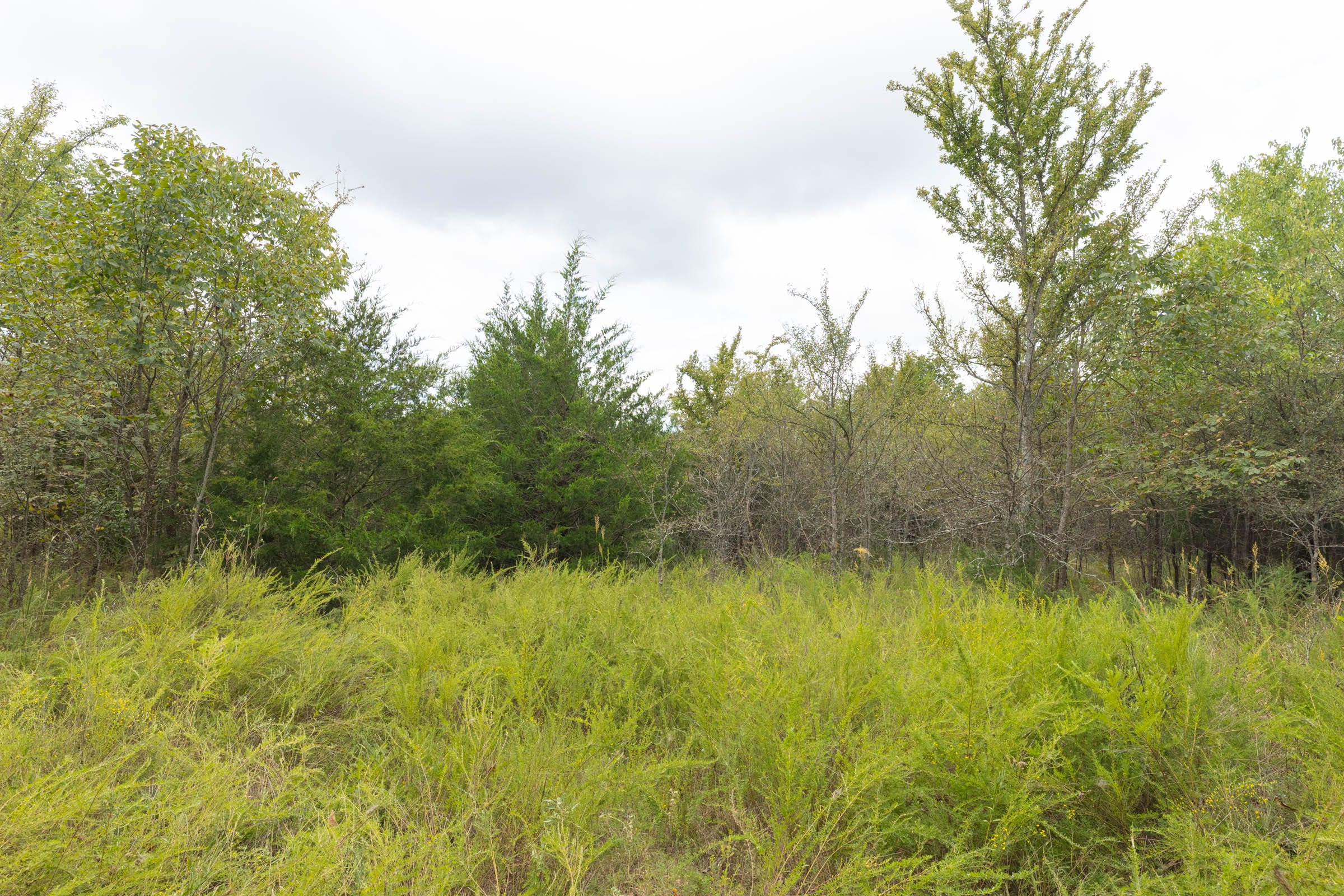 Reserves At Cattail Cove Phase II Tract 81 photo 8