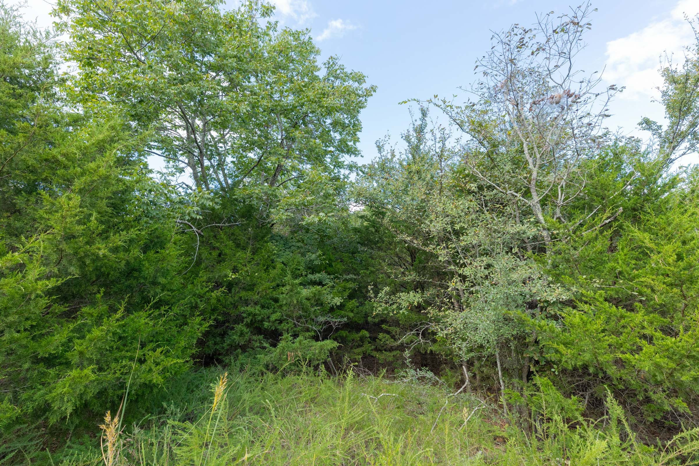 Reserves At Cattail Cove Phase II Tract 81 photo 6