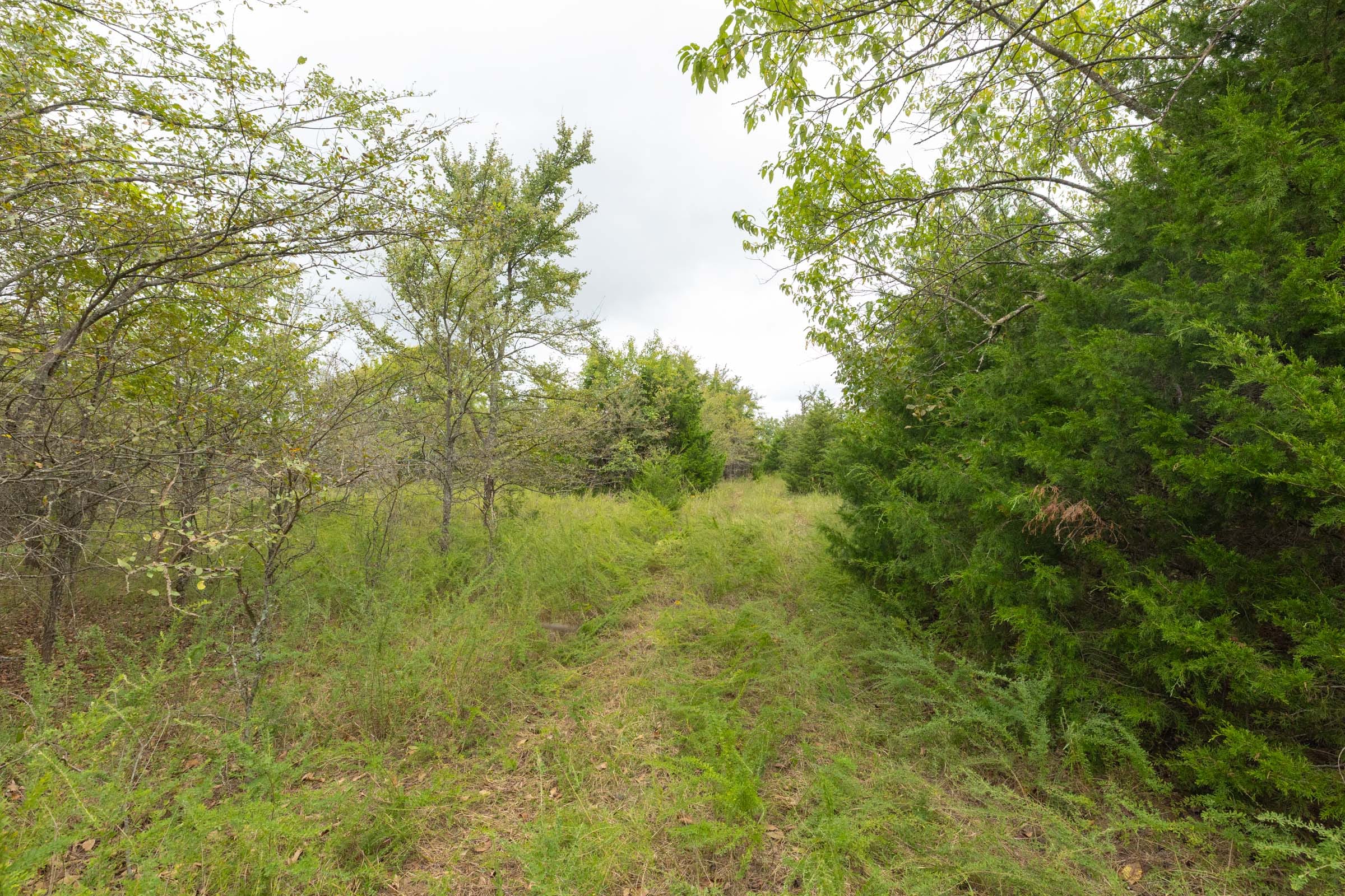 Reserves At Cattail Cove Phase II Tract 81 photo 3