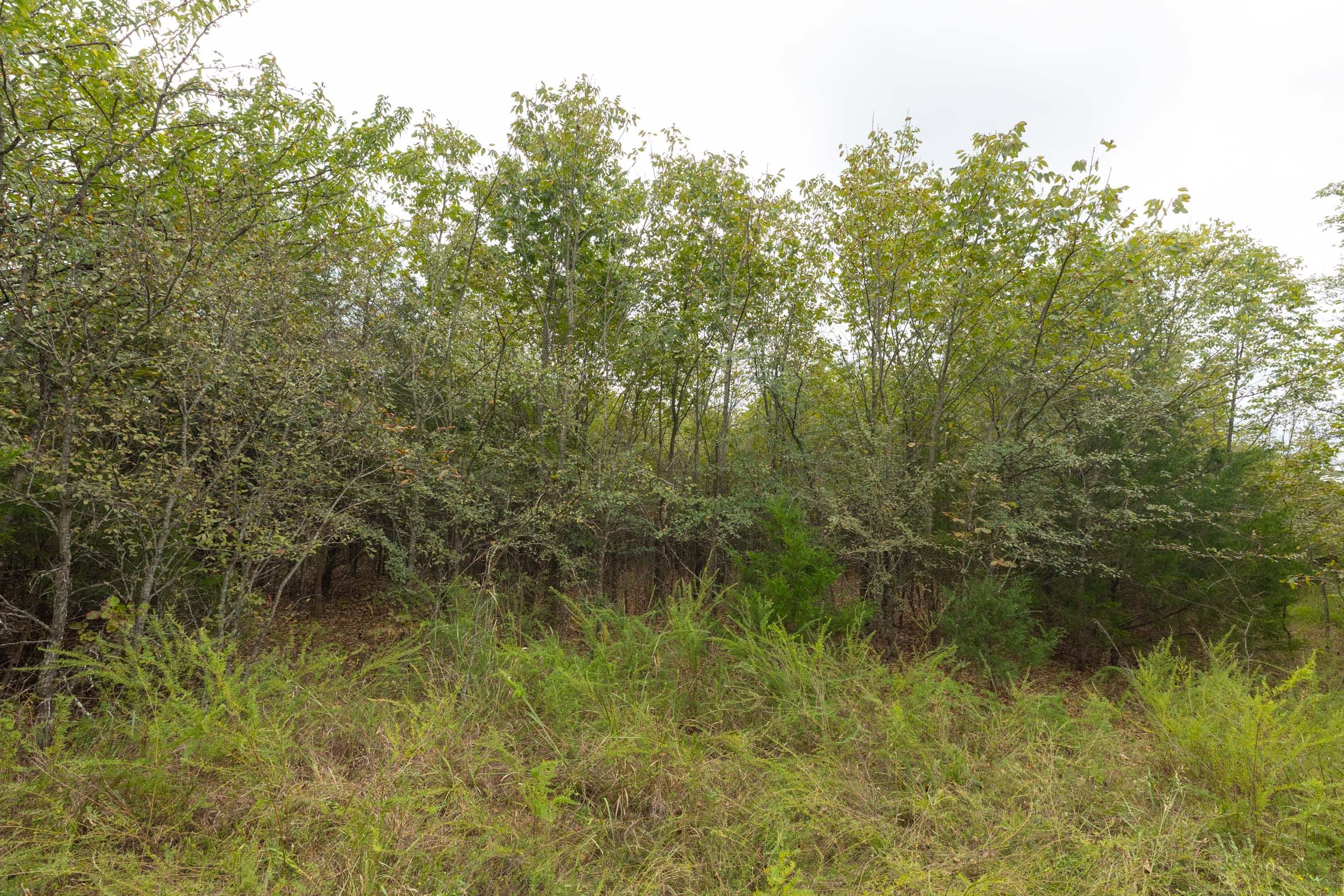 Reserves At Cattail Cove Phase II Tract 81 photo 5